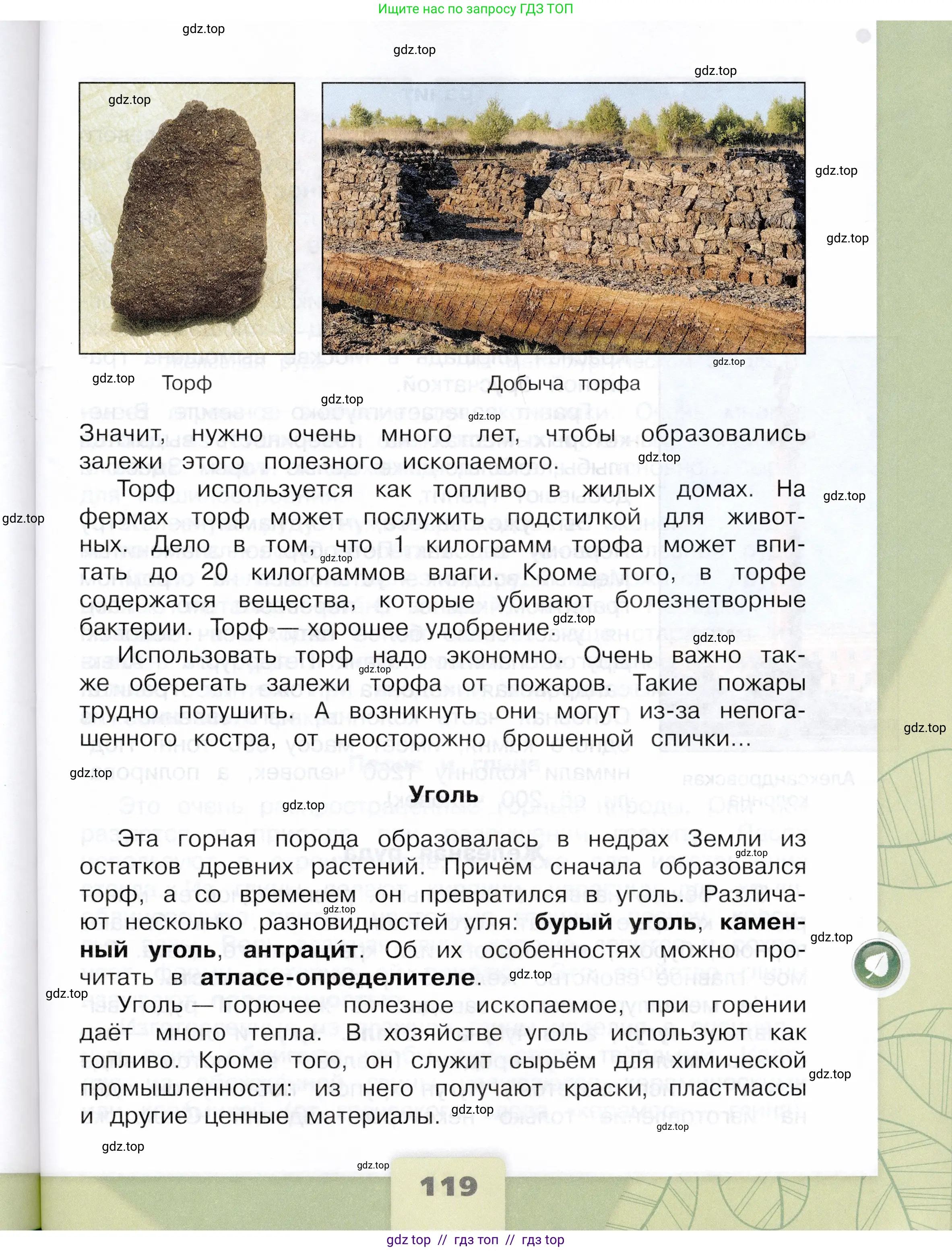 Окружающий мир, 4 класс Учебник, авторы: Плешаков Андрей Анатольевич, Крючкова Елена Алексеевна, издательство Просвещение, Москва, 2023, белого цвета, страница 119