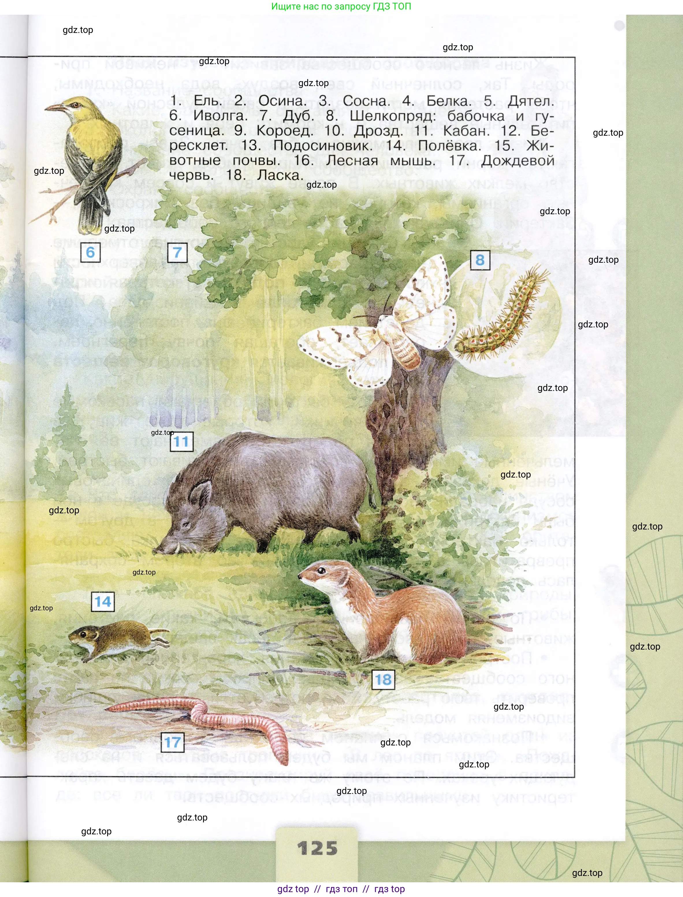 Окружающий мир, 4 класс Учебник, авторы: Плешаков Андрей Анатольевич, Крючкова Елена Алексеевна, издательство Просвещение, Москва, 2023, белого цвета, страница 125