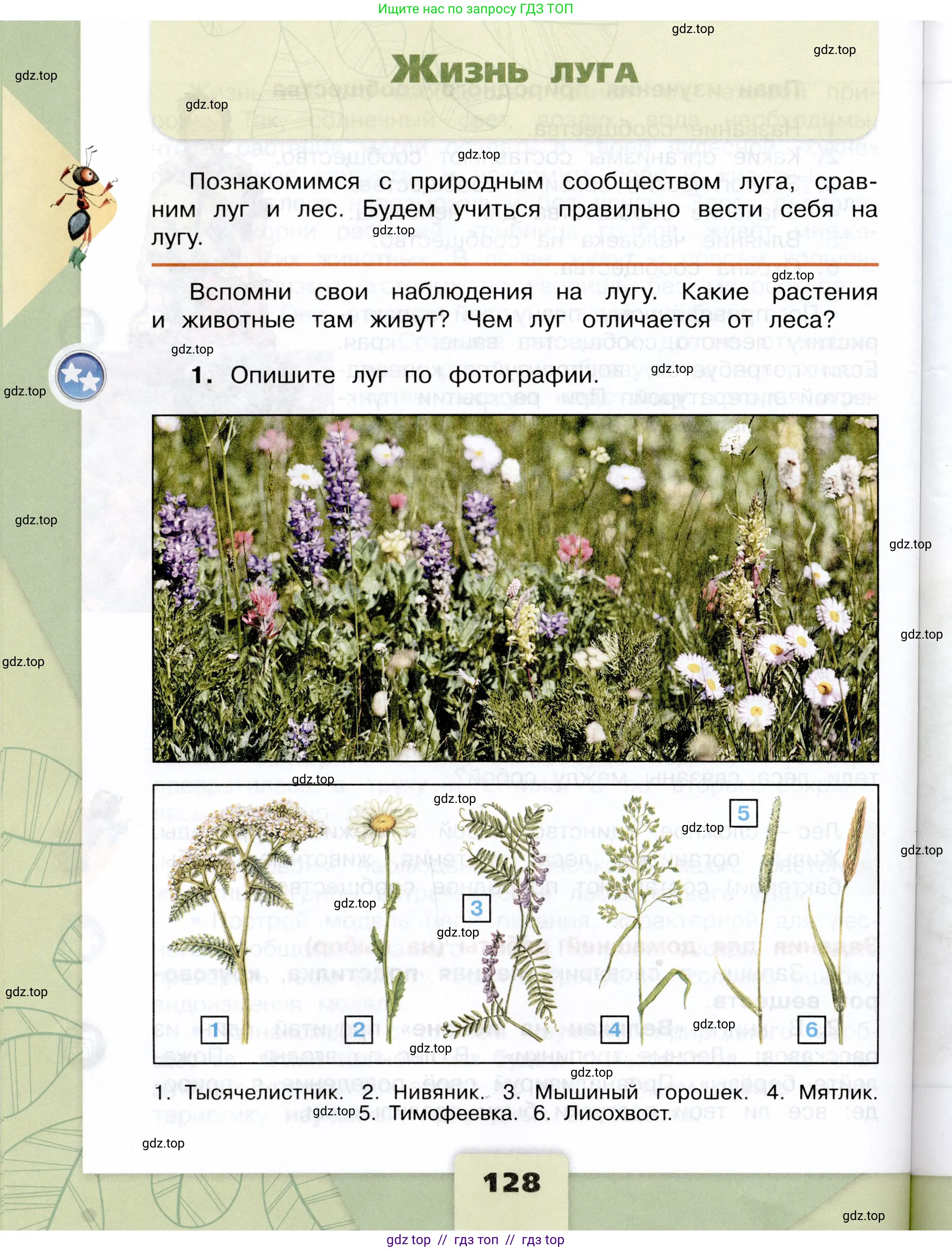 Окружающий мир, 4 класс Учебник, авторы: Плешаков Андрей Анатольевич, Крючкова Елена Алексеевна, издательство Просвещение, Москва, 2023, белого цвета, Часть 1, страница 128