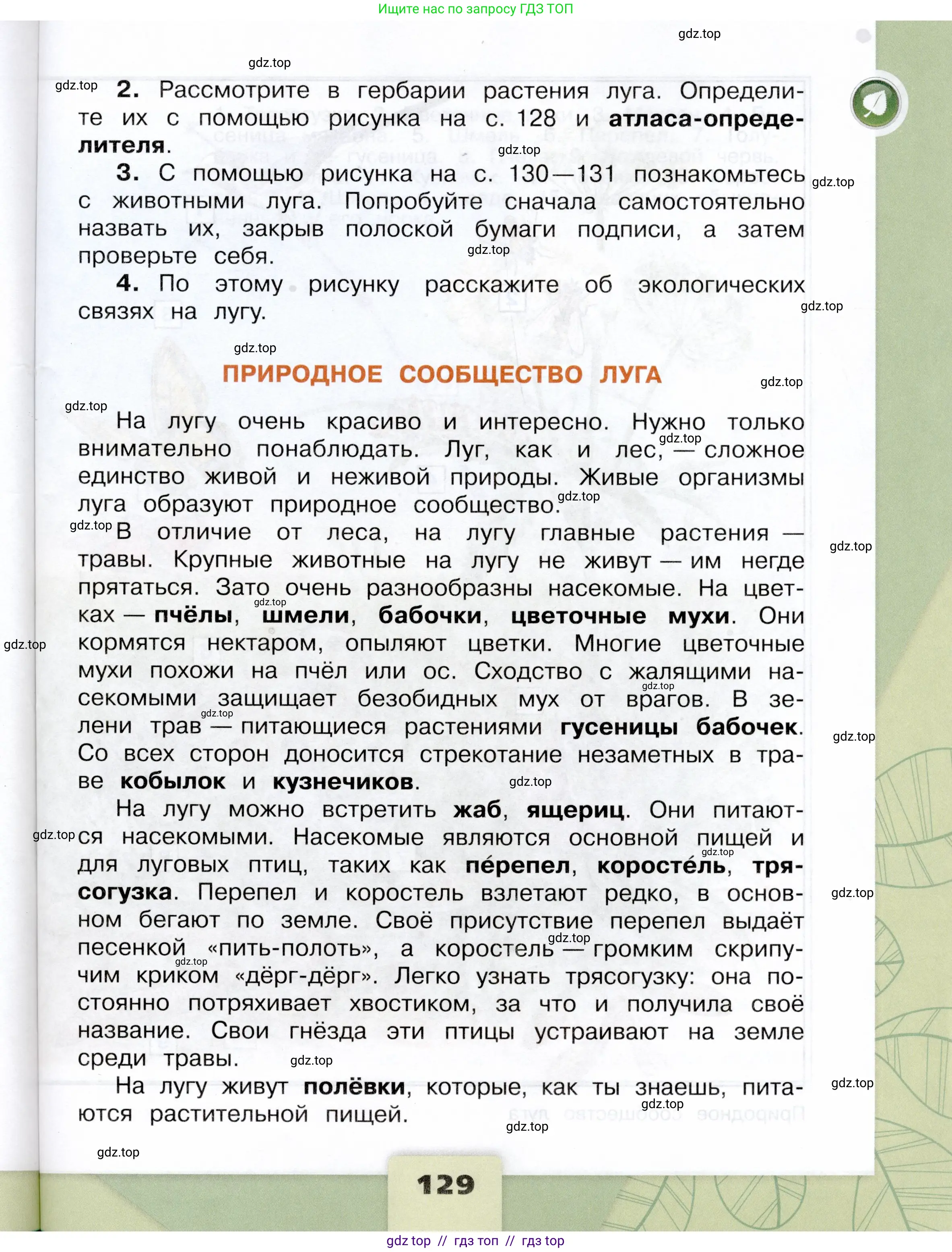 Окружающий мир, 4 класс Учебник, авторы: Плешаков Андрей Анатольевич, Крючкова Елена Алексеевна, издательство Просвещение, Москва, 2023, белого цвета, страница 129