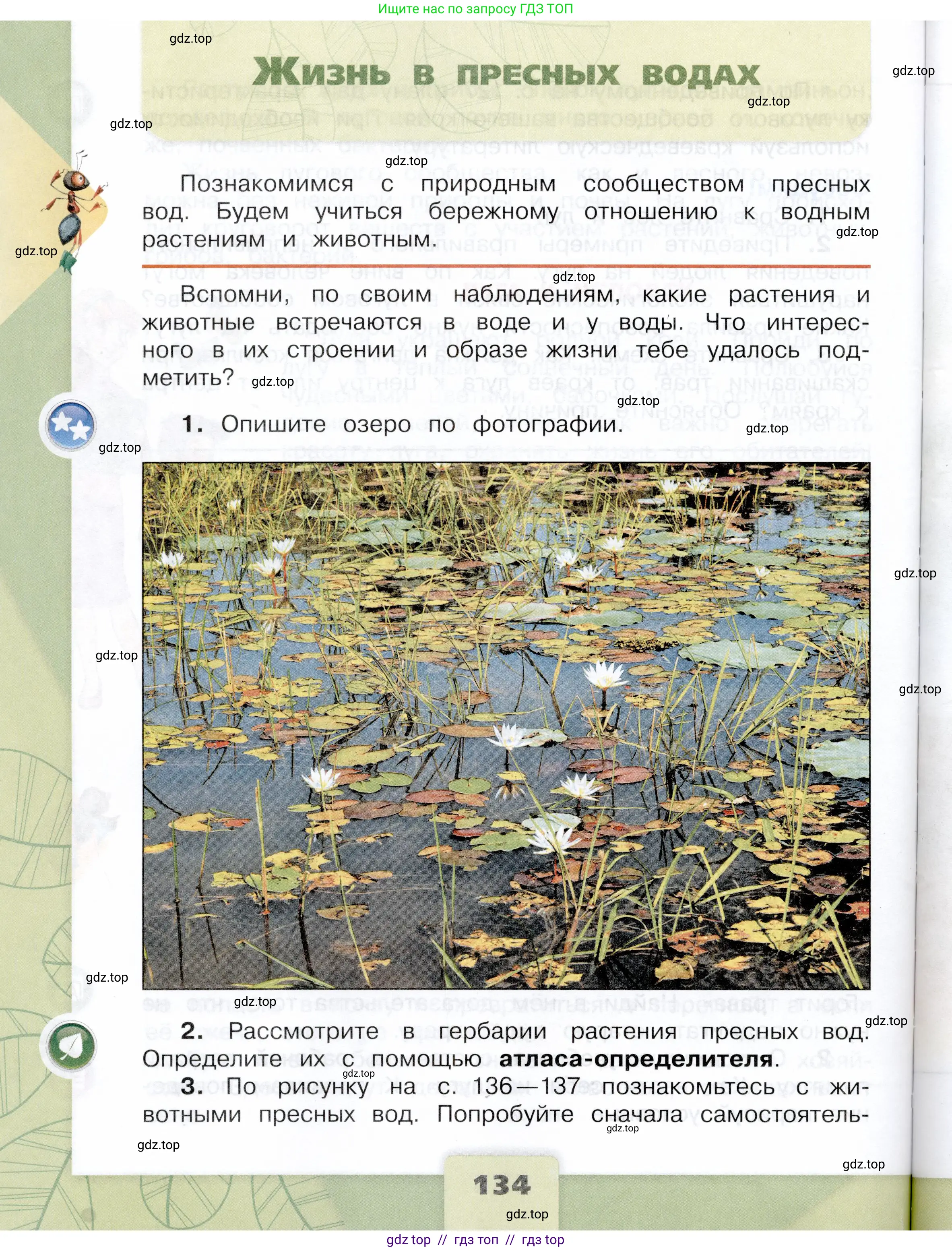 Окружающий мир, 4 класс Учебник, авторы: Плешаков Андрей Анатольевич, Крючкова Елена Алексеевна, издательство Просвещение, Москва, 2023, белого цвета, Часть 1, страница 134