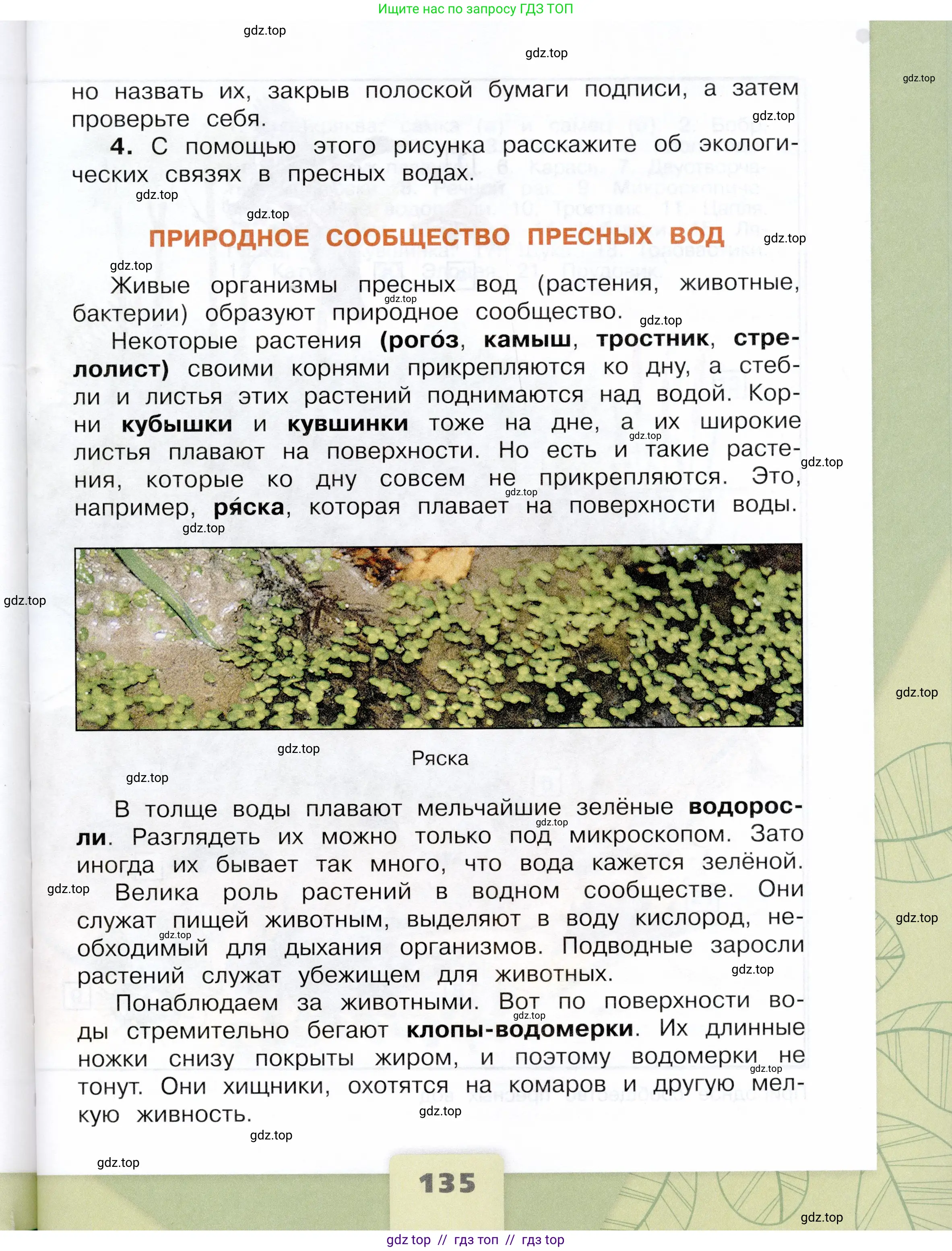 Окружающий мир, 4 класс Учебник, авторы: Плешаков Андрей Анатольевич, Крючкова Елена Алексеевна, издательство Просвещение, Москва, 2023, белого цвета, страница 135