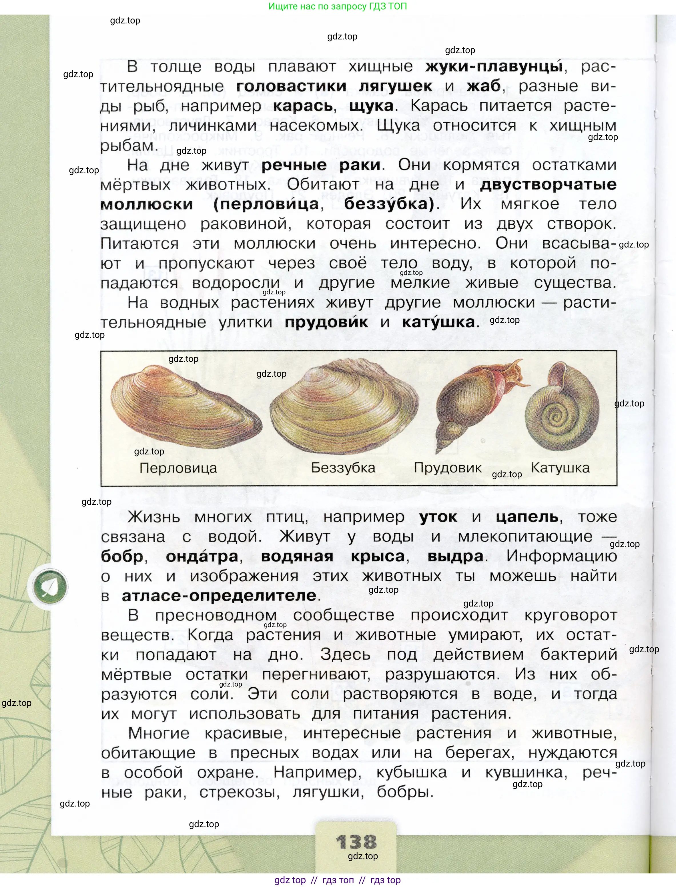 Окружающий мир, 4 класс Учебник, авторы: Плешаков Андрей Анатольевич, Крючкова Елена Алексеевна, издательство Просвещение, Москва, 2023, белого цвета, страница 138