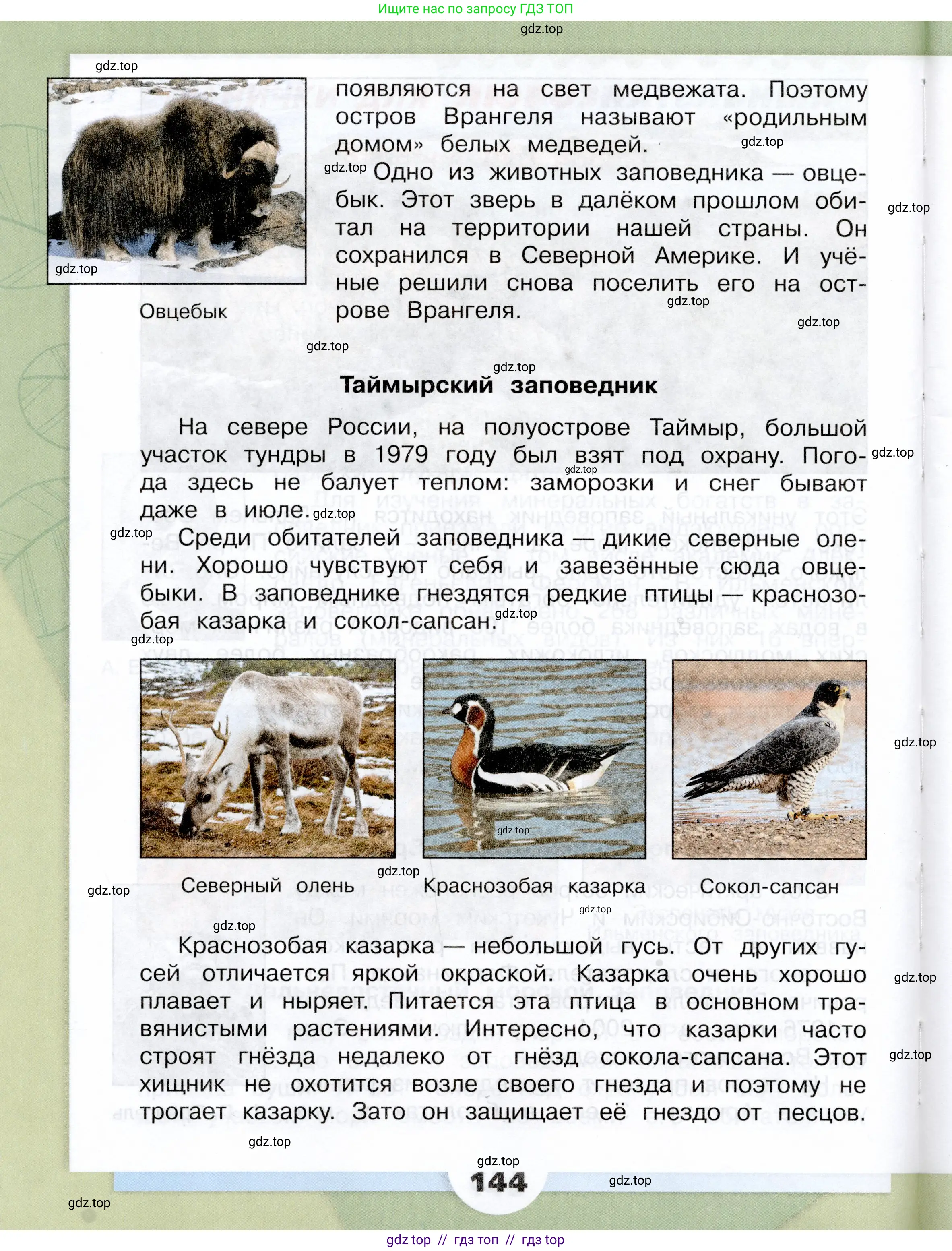 Окружающий мир, 4 класс Учебник, авторы: Плешаков Андрей Анатольевич, Крючкова Елена Алексеевна, издательство Просвещение, Москва, 2023, белого цвета, страница 144