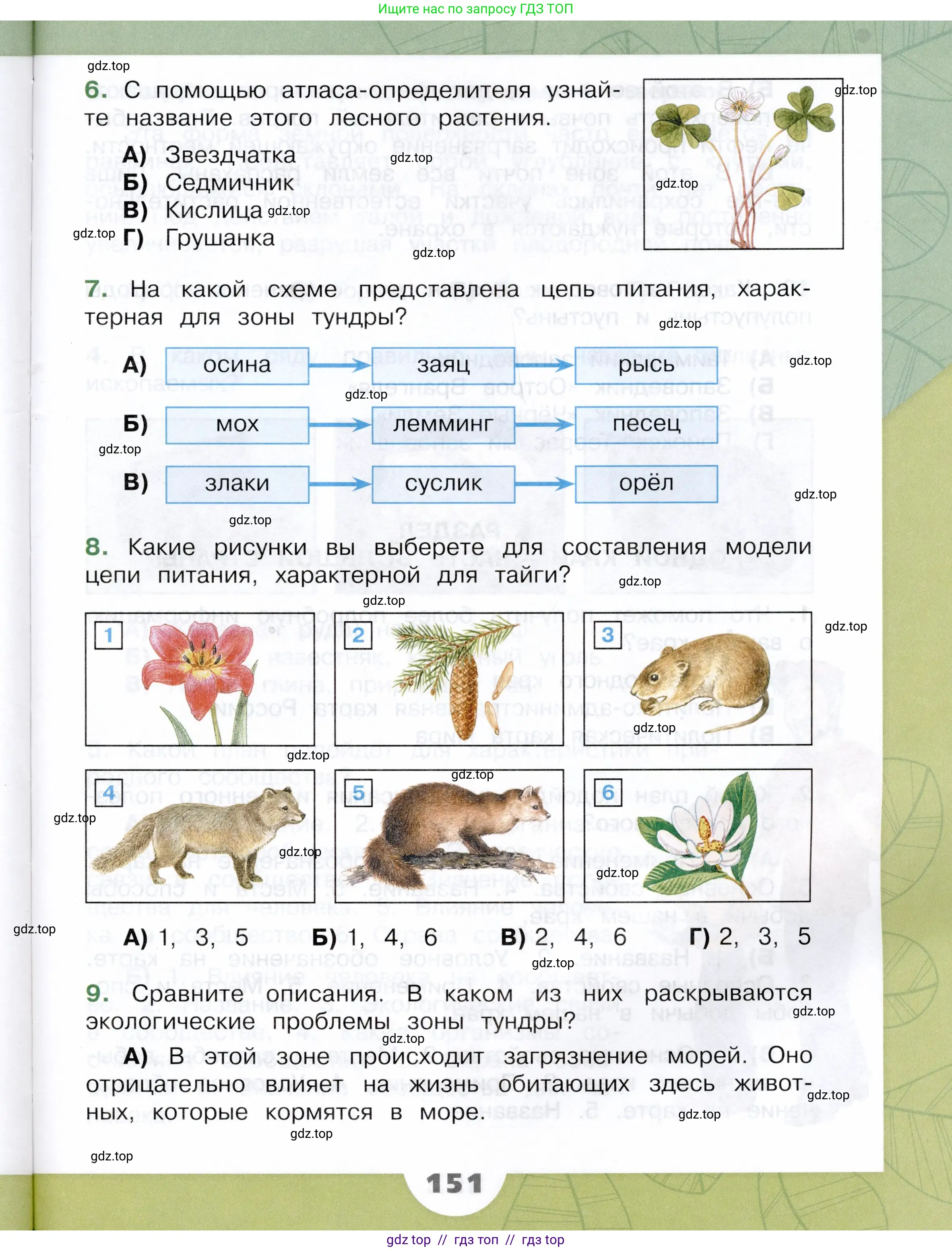 Окружающий мир, 4 класс Учебник, авторы: Плешаков Андрей Анатольевич, Крючкова Елена Алексеевна, издательство Просвещение, Москва, 2023, белого цвета, страница 151