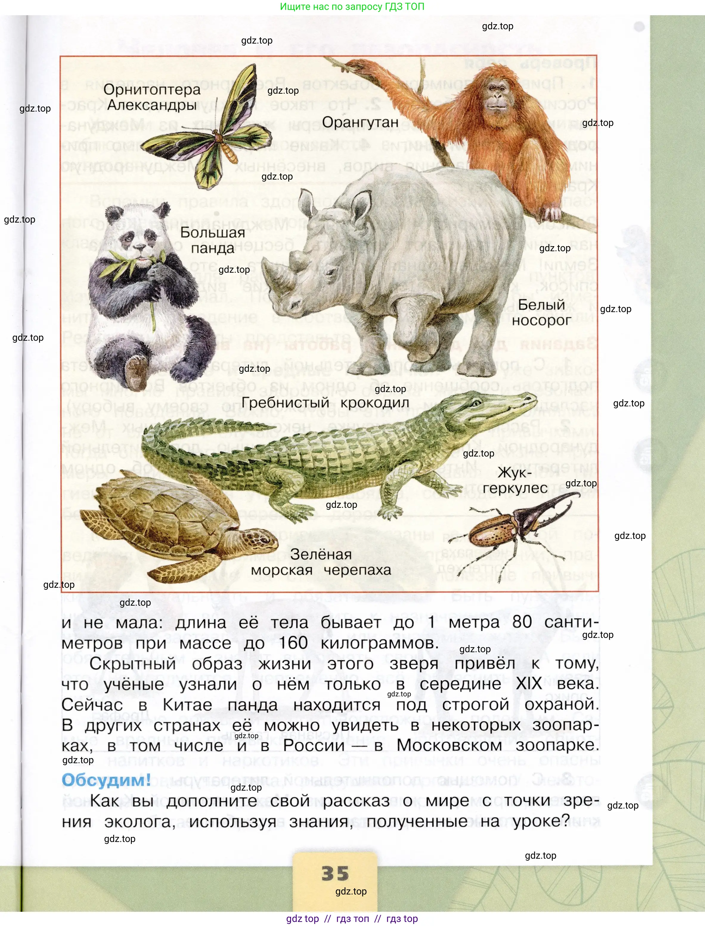 Окружающий мир, 4 класс Учебник, авторы: Плешаков Андрей Анатольевич, Крючкова Елена Алексеевна, издательство Просвещение, Москва, 2023, белого цвета, страница 35