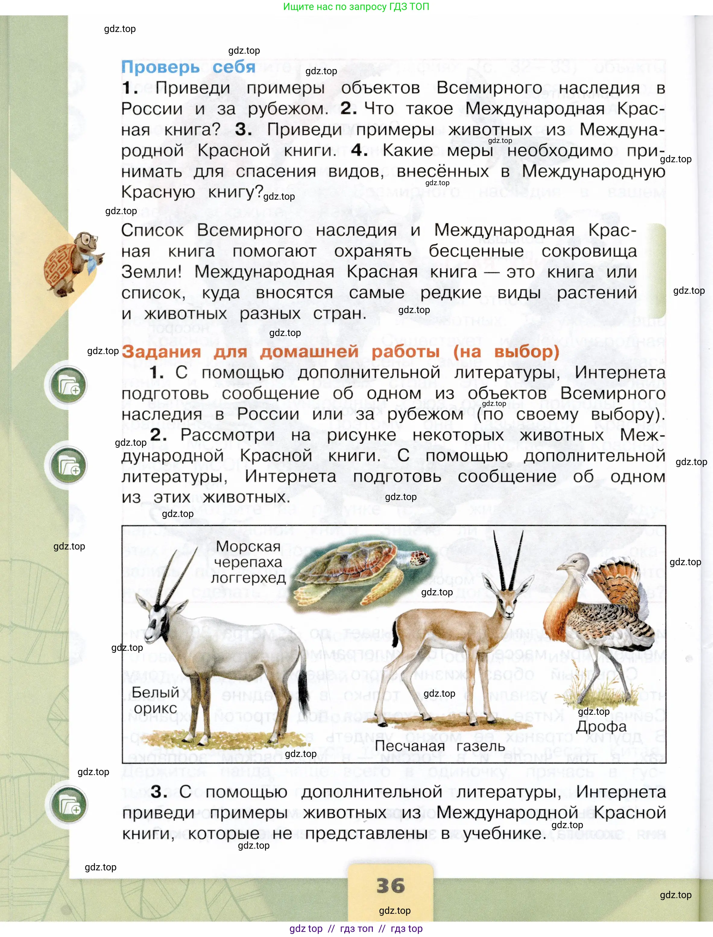 Окружающий мир, 4 класс Учебник, авторы: Плешаков Андрей Анатольевич, Крючкова Елена Алексеевна, издательство Просвещение, Москва, 2023, белого цвета, страница 36