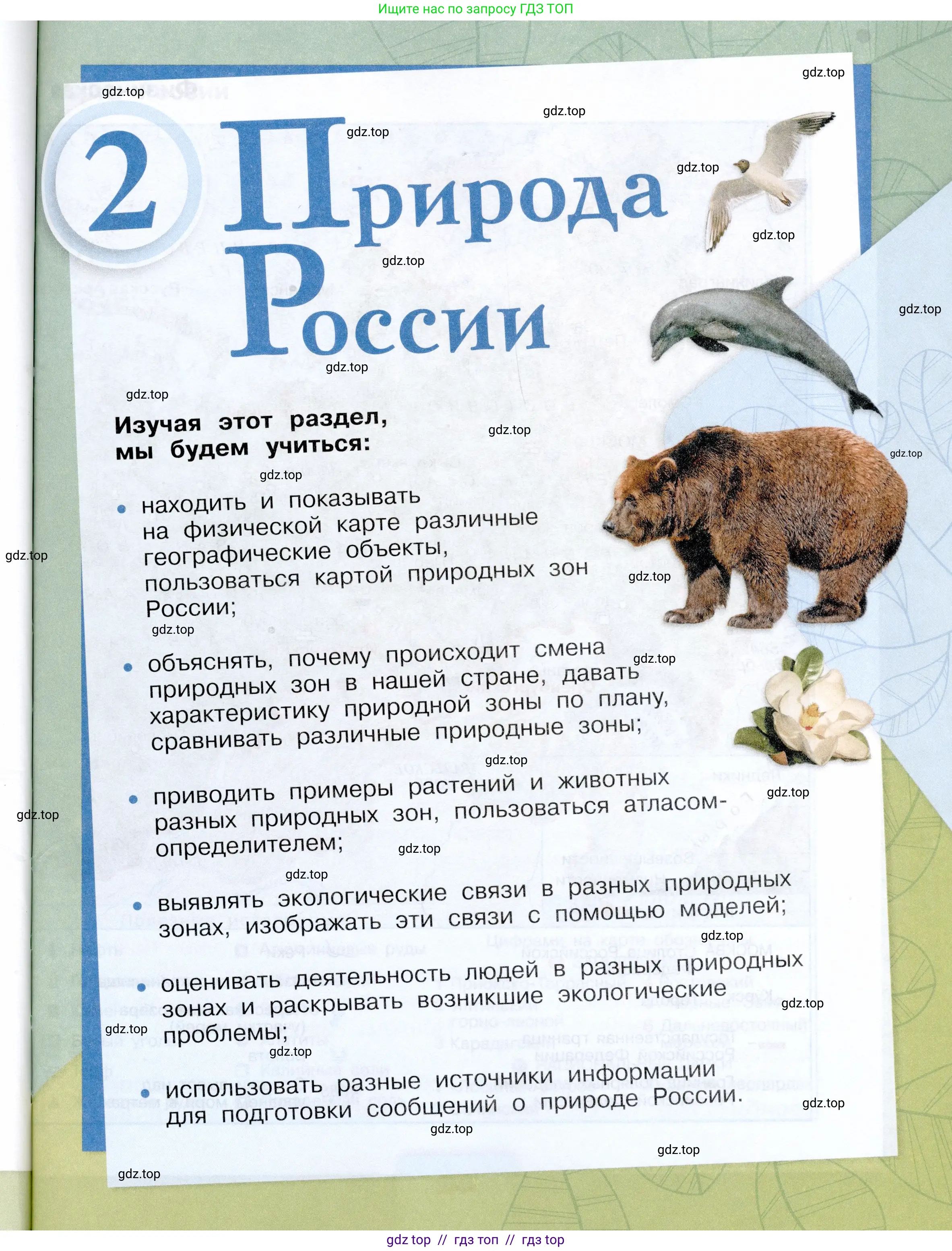 Окружающий мир, 4 класс Учебник, авторы: Плешаков Андрей Анатольевич, Крючкова Елена Алексеевна, издательство Просвещение, Москва, 2023, белого цвета, страница 41