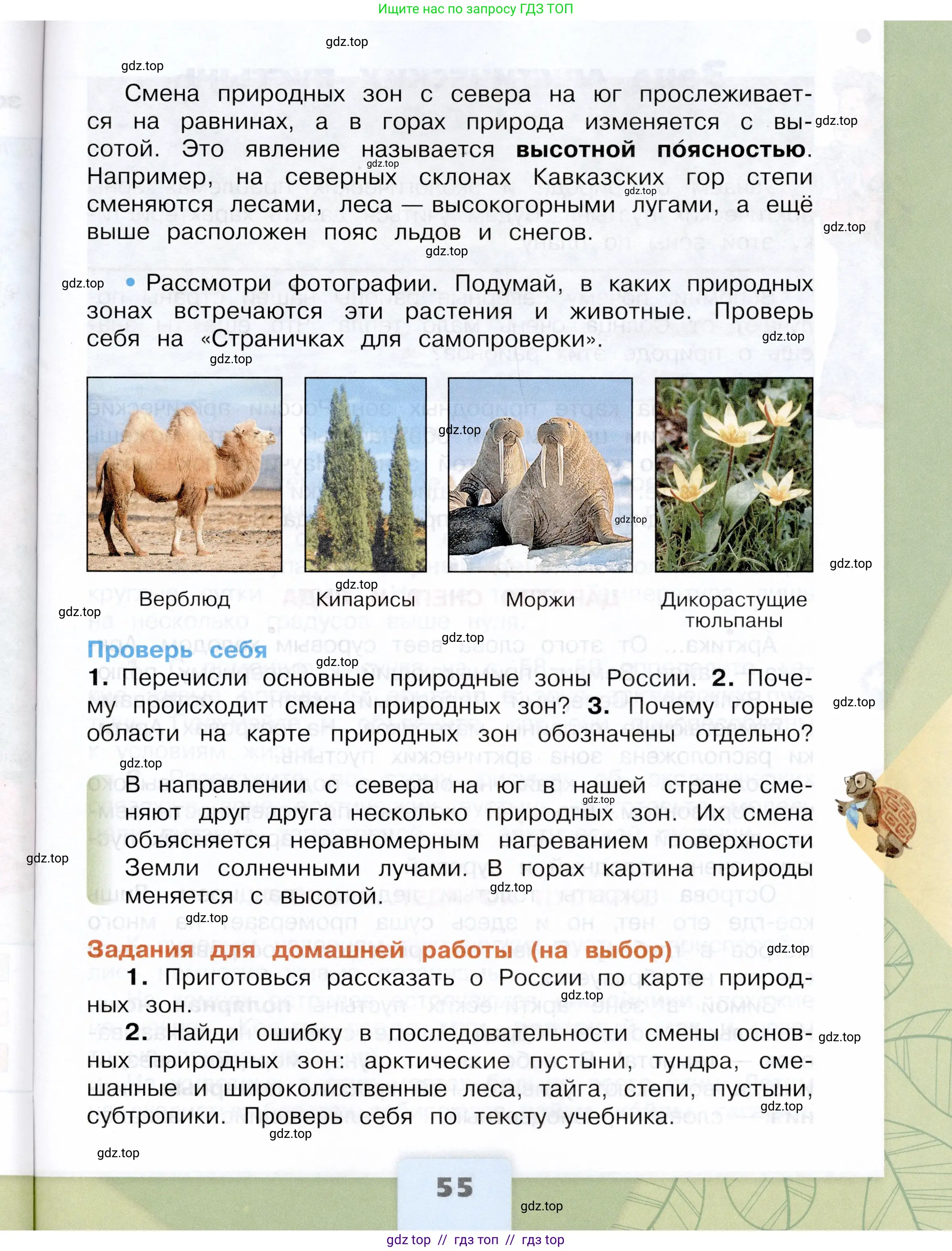 Окружающий мир, 4 класс Учебник, авторы: Плешаков Андрей Анатольевич, Крючкова Елена Алексеевна, издательство Просвещение, Москва, 2023, белого цвета, страница 55
