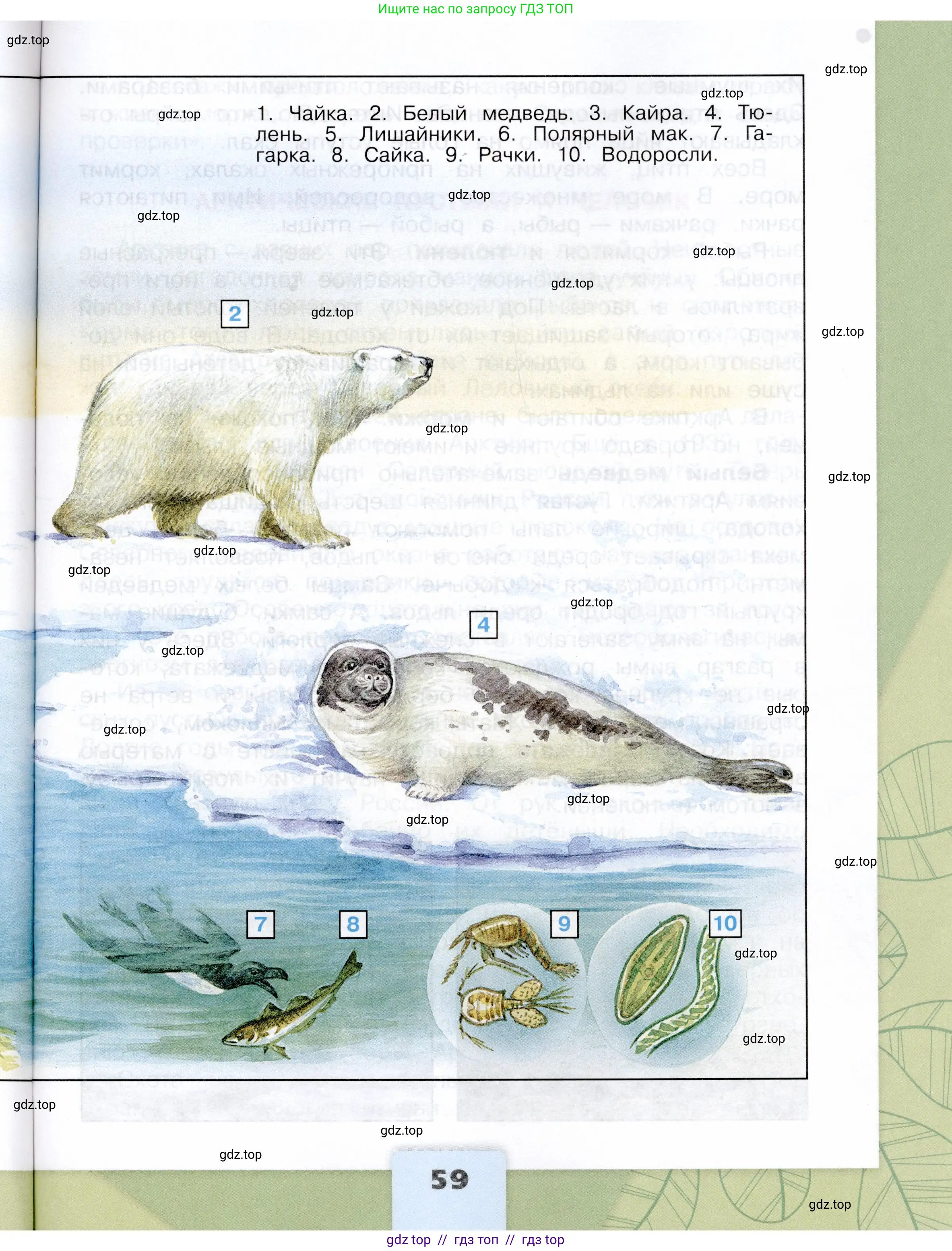 Окружающий мир, 4 класс Учебник, авторы: Плешаков Андрей Анатольевич, Крючкова Елена Алексеевна, издательство Просвещение, Москва, 2023, белого цвета, страница 59