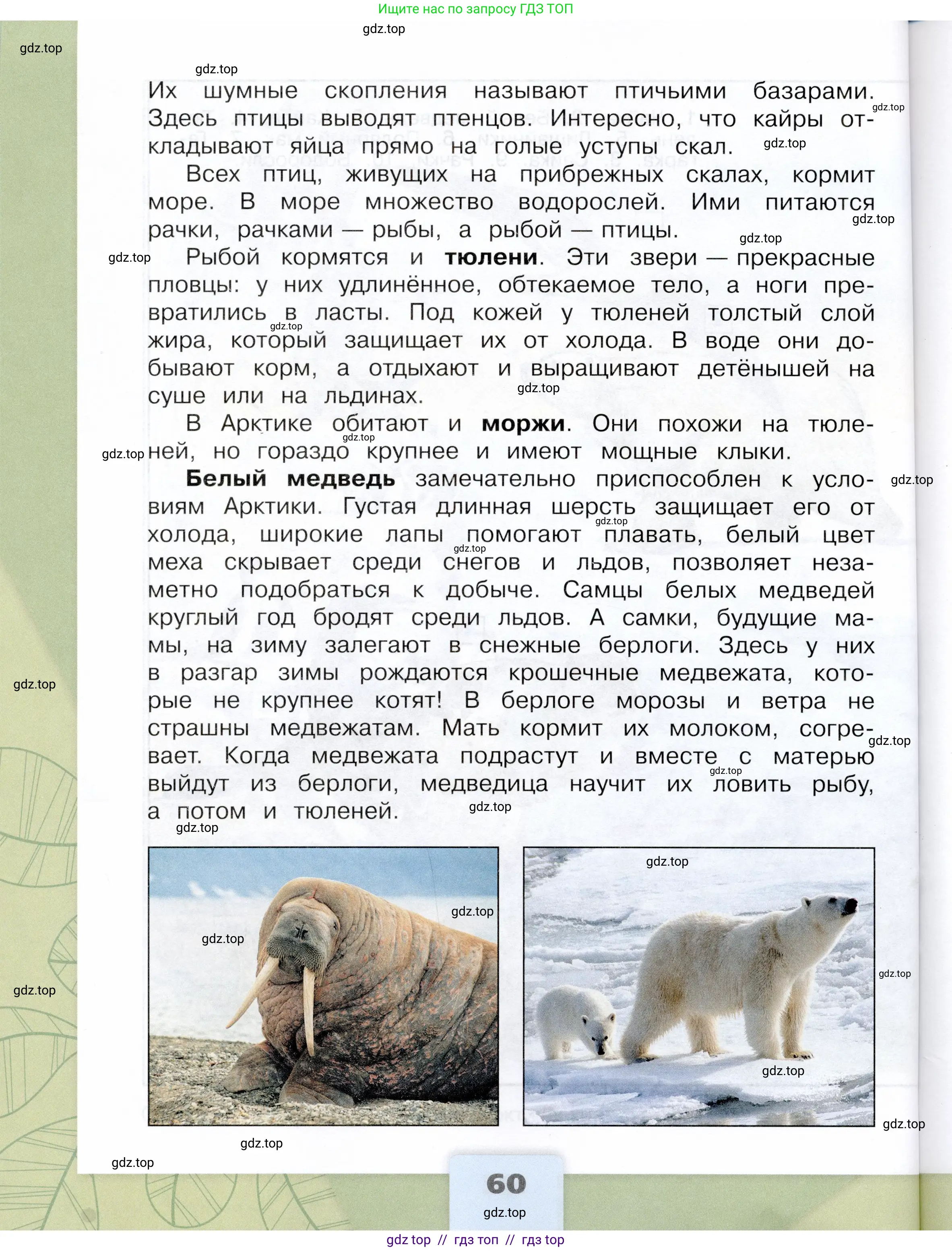 Окружающий мир, 4 класс Учебник, авторы: Плешаков Андрей Анатольевич, Крючкова Елена Алексеевна, издательство Просвещение, Москва, 2023, белого цвета, страница 60