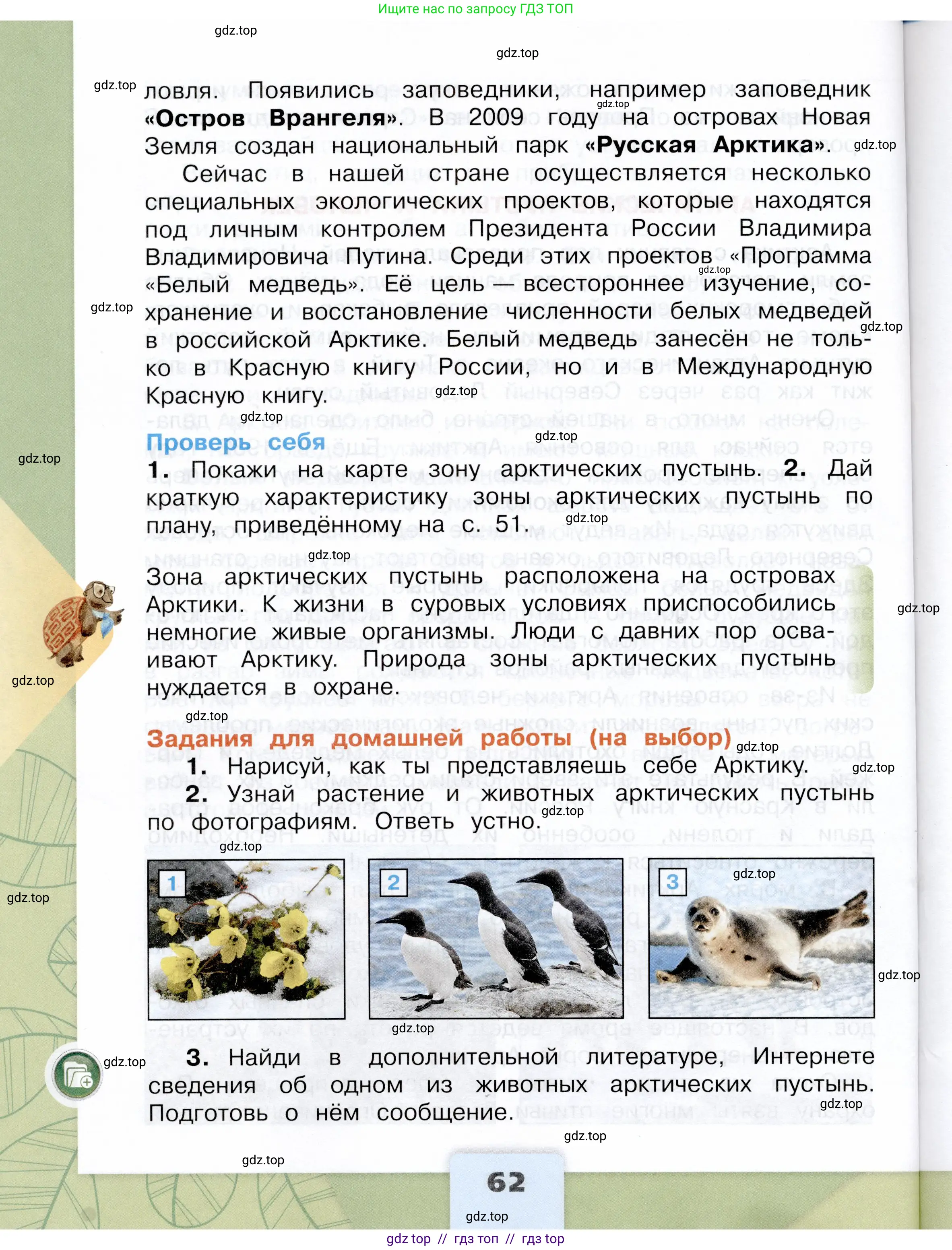 Окружающий мир, 4 класс Учебник, авторы: Плешаков Андрей Анатольевич, Крючкова Елена Алексеевна, издательство Просвещение, Москва, 2023, белого цвета, страница 62