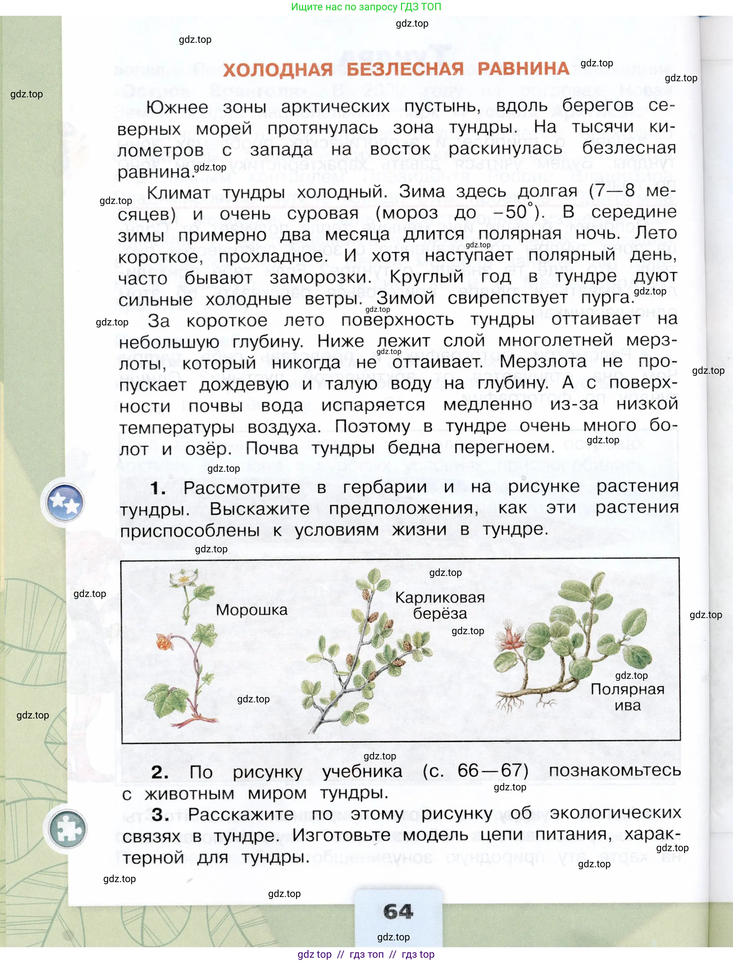 Окружающий мир, 4 класс Учебник, авторы: Плешаков Андрей Анатольевич, Крючкова Елена Алексеевна, издательство Просвещение, Москва, 2023, белого цвета, страница 64