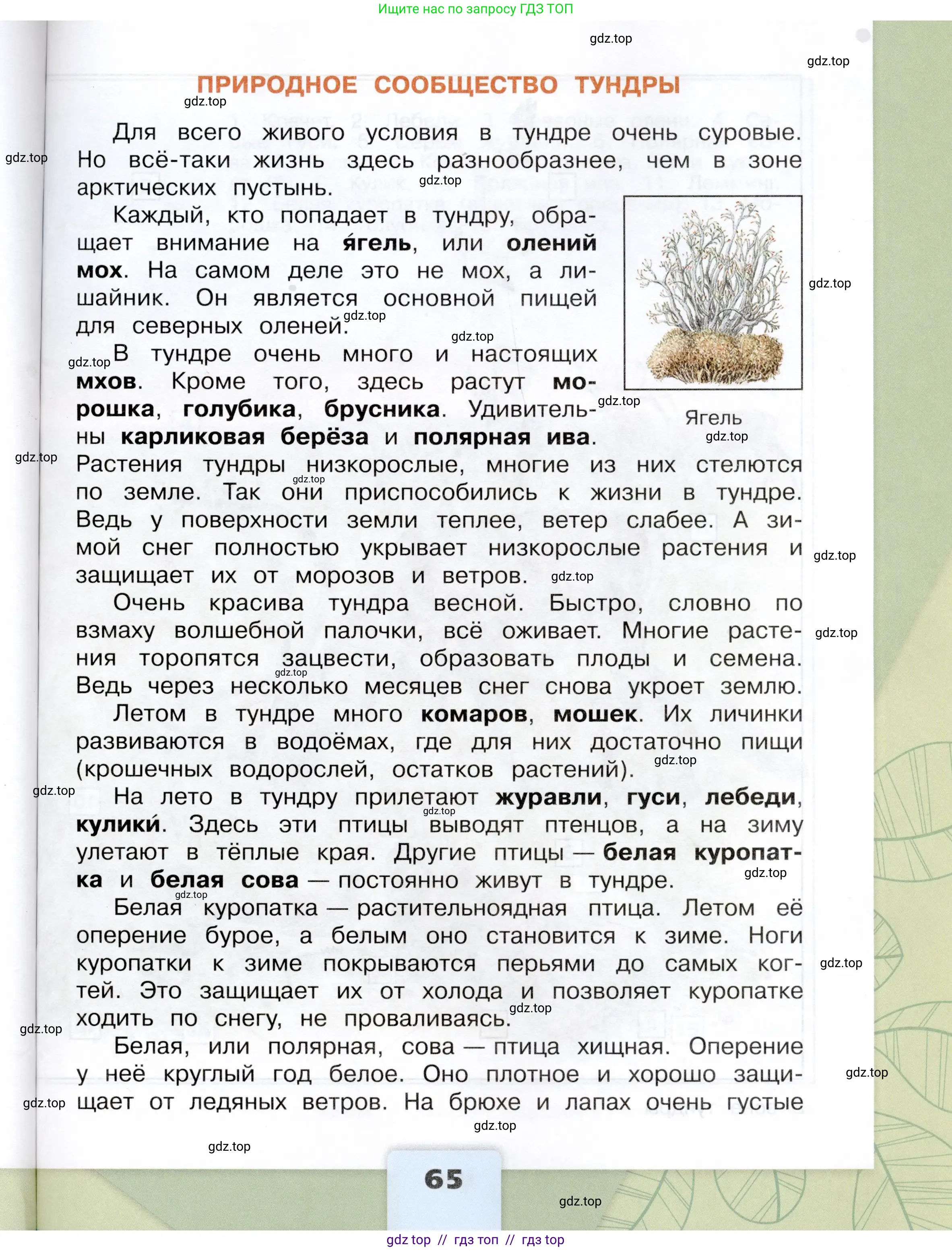 Окружающий мир, 4 класс Учебник, авторы: Плешаков Андрей Анатольевич, Крючкова Елена Алексеевна, издательство Просвещение, Москва, 2023, белого цвета, страница 65