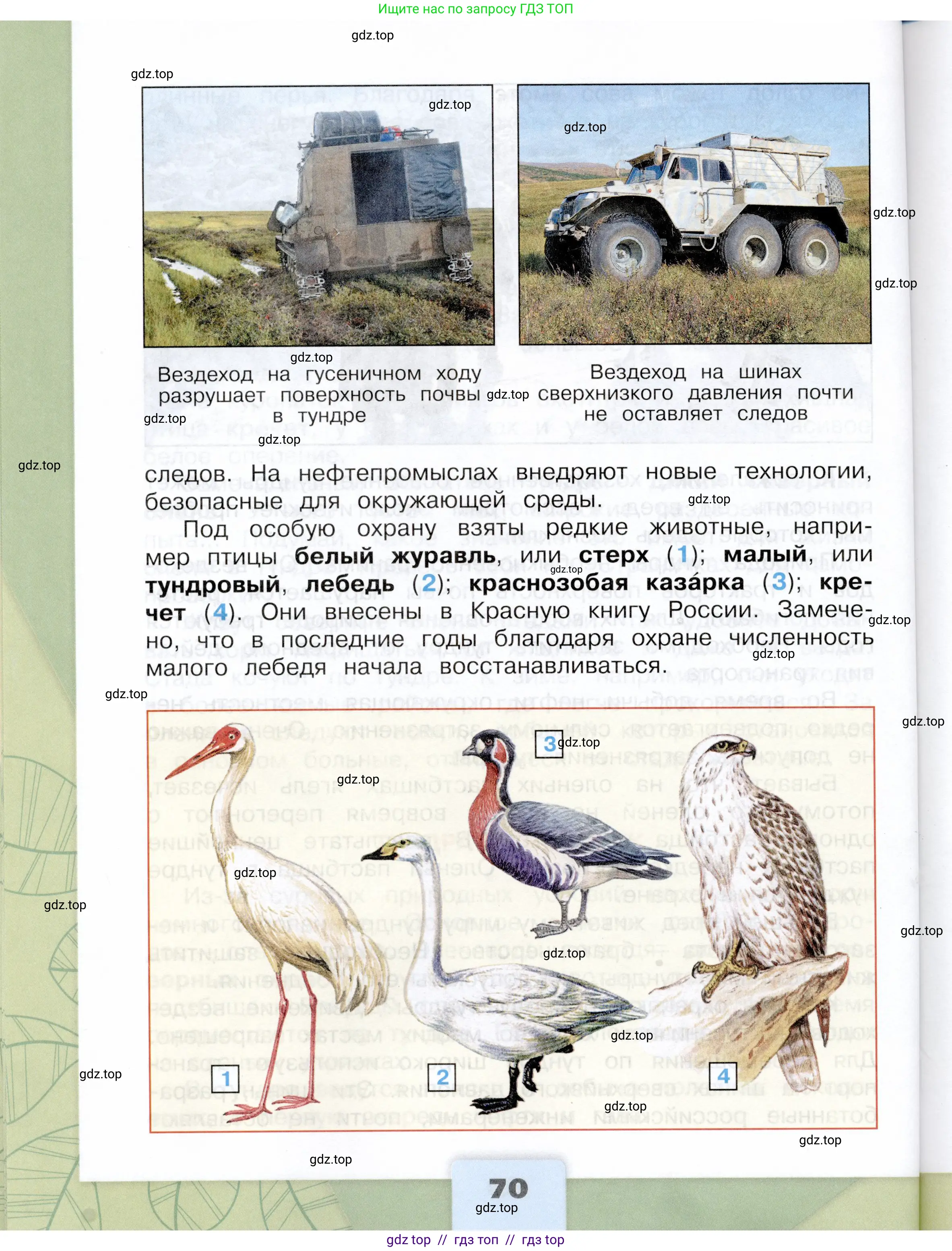 Окружающий мир, 4 класс Учебник, авторы: Плешаков Андрей Анатольевич, Крючкова Елена Алексеевна, издательство Просвещение, Москва, 2023, белого цвета, страница 70