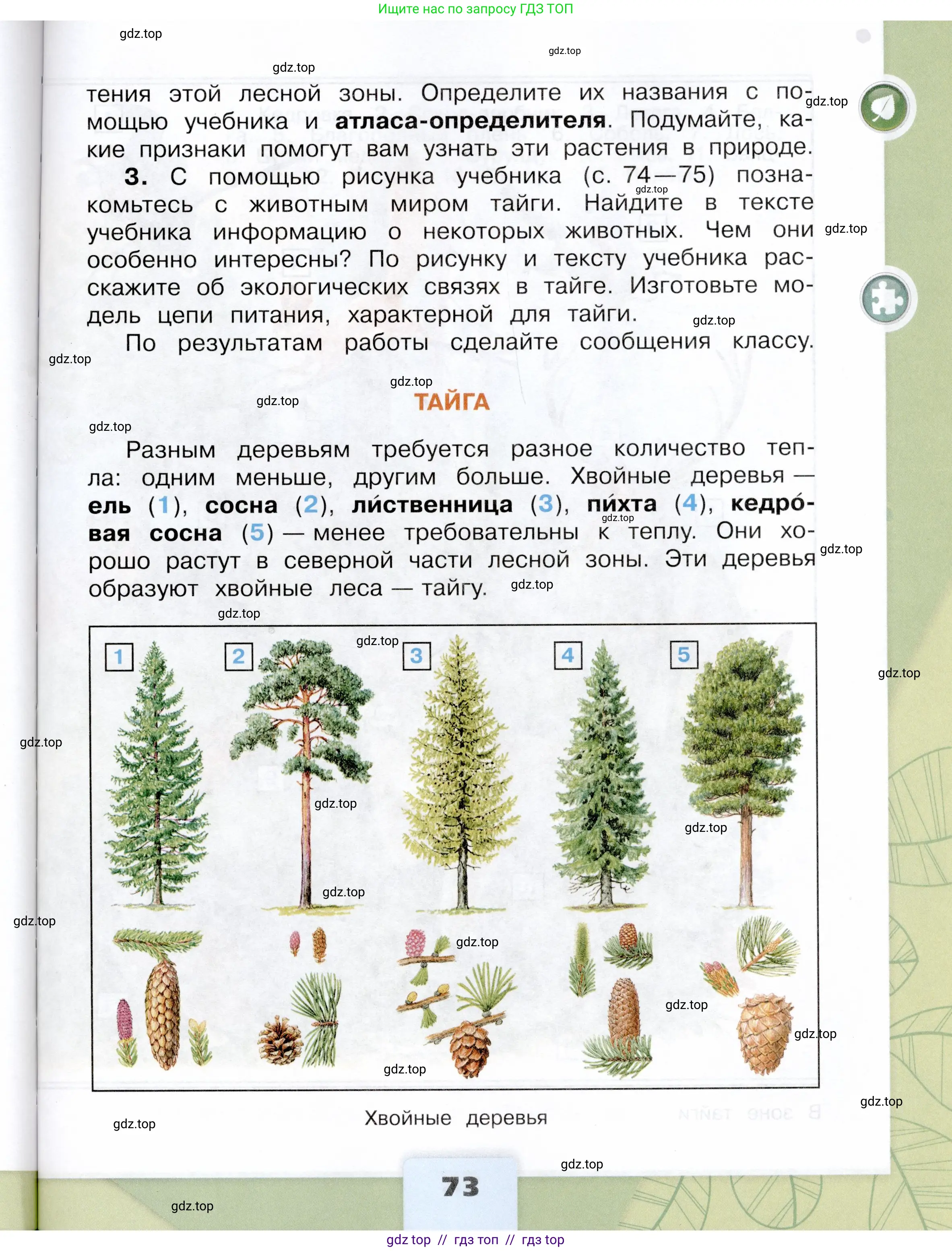 Окружающий мир, 4 класс Учебник, авторы: Плешаков Андрей Анатольевич, Крючкова Елена Алексеевна, издательство Просвещение, Москва, 2023, белого цвета, страница 73