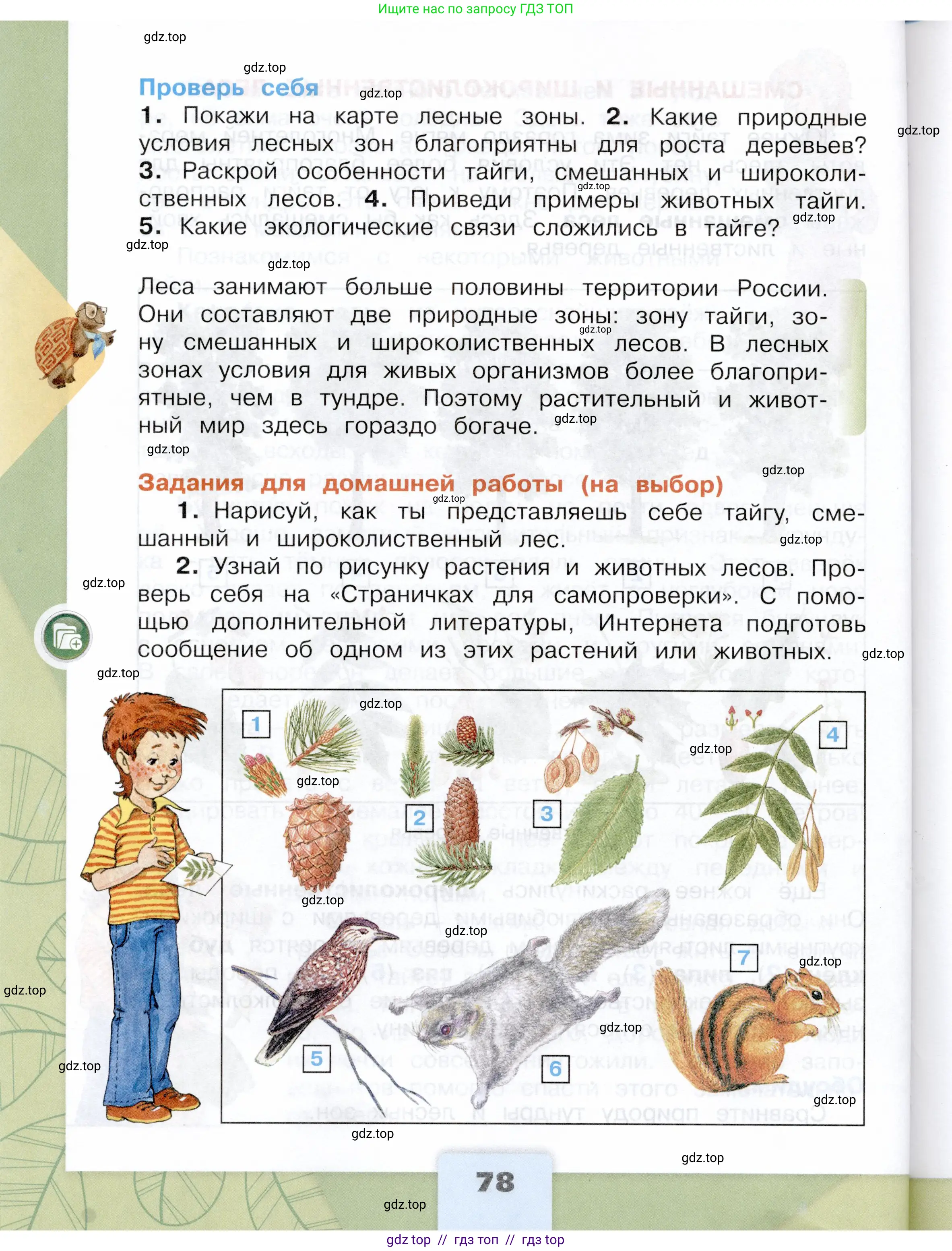 Окружающий мир, 4 класс Учебник, авторы: Плешаков Андрей Анатольевич, Крючкова Елена Алексеевна, издательство Просвещение, Москва, 2023, белого цвета, страница 78