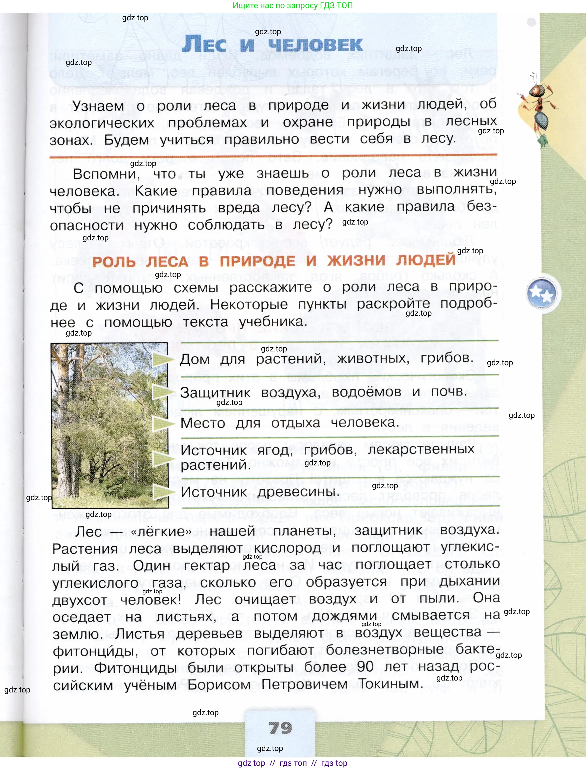 Окружающий мир, 4 класс Учебник, авторы: Плешаков Андрей Анатольевич, Крючкова Елена Алексеевна, издательство Просвещение, Москва, 2023, белого цвета, Часть 1, страница 79