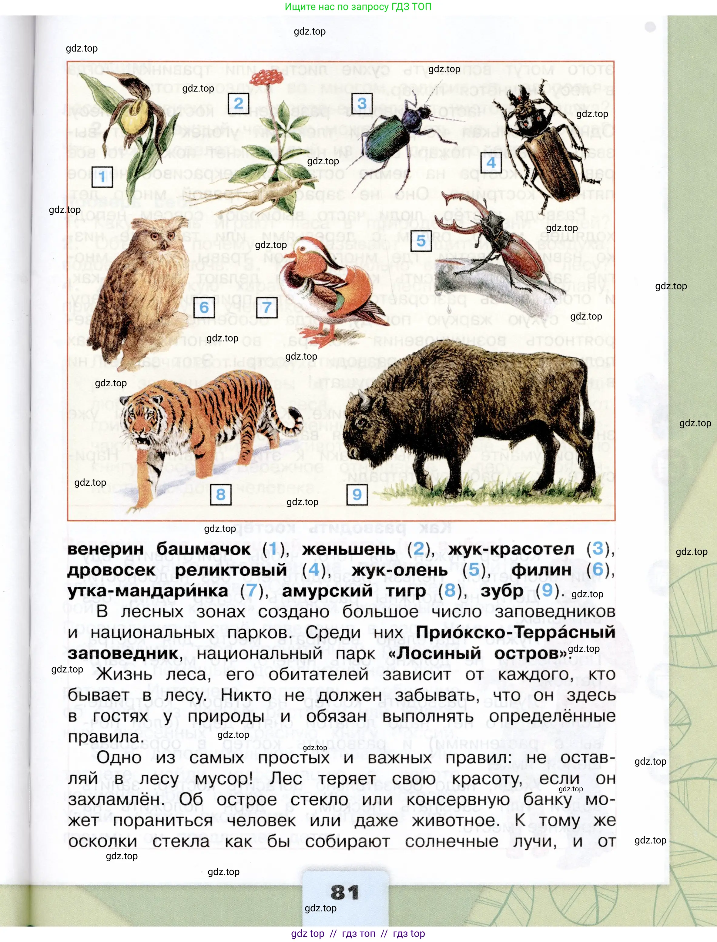 Окружающий мир, 4 класс Учебник, авторы: Плешаков Андрей Анатольевич, Крючкова Елена Алексеевна, издательство Просвещение, Москва, 2023, белого цвета, страница 81