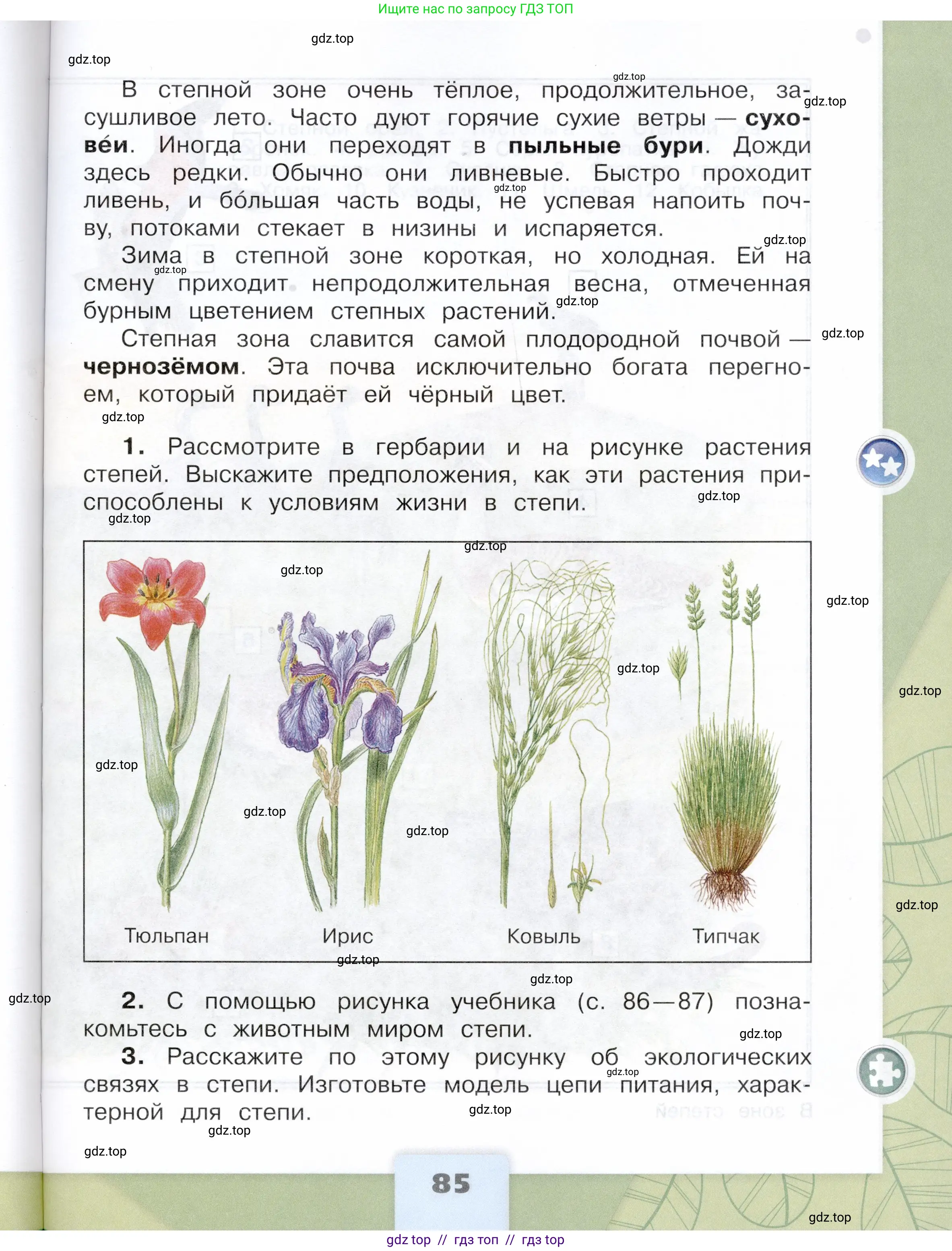 Окружающий мир, 4 класс Учебник, авторы: Плешаков Андрей Анатольевич, Крючкова Елена Алексеевна, издательство Просвещение, Москва, 2023, белого цвета, страница 85