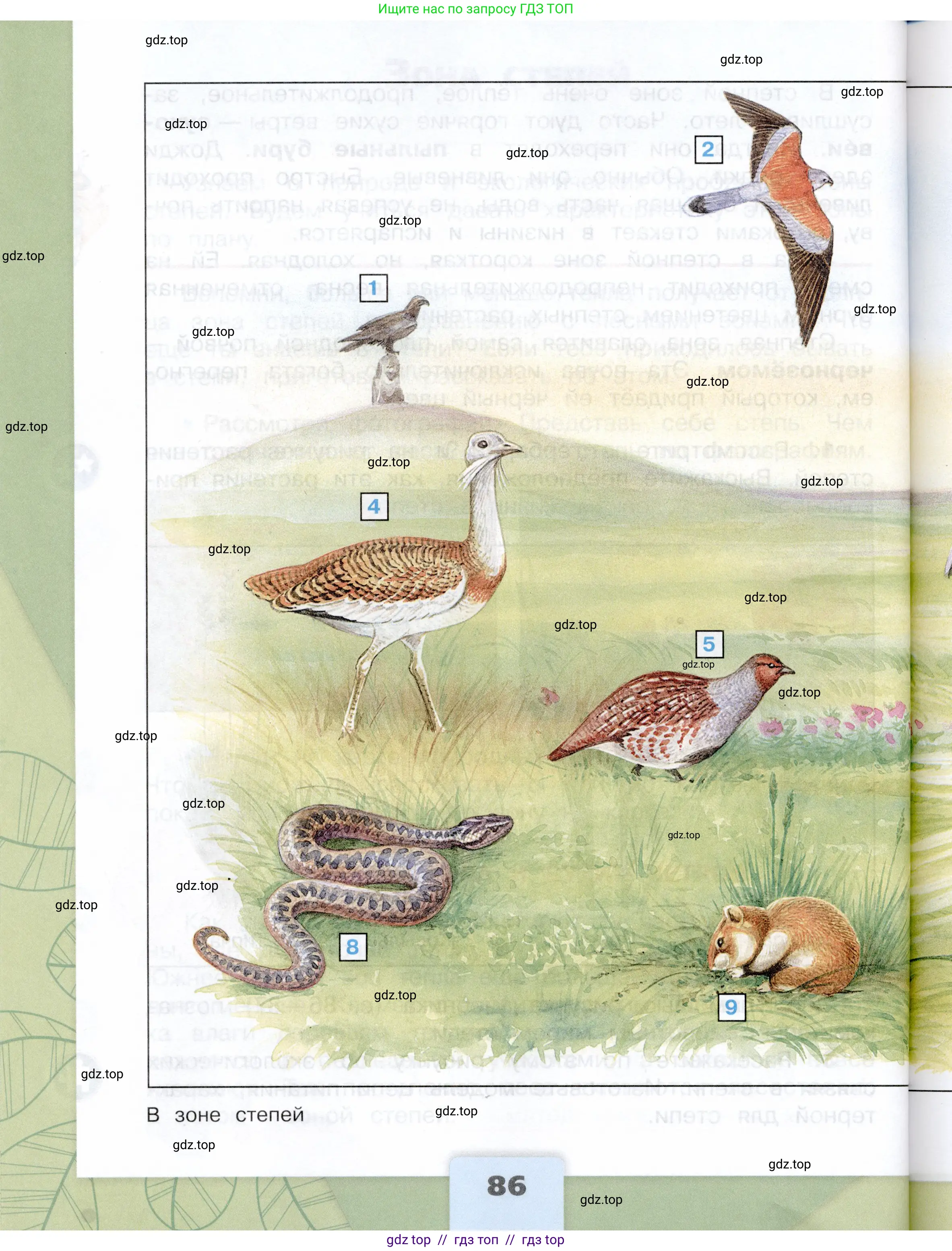 Окружающий мир, 4 класс Учебник, авторы: Плешаков Андрей Анатольевич, Крючкова Елена Алексеевна, издательство Просвещение, Москва, 2023, белого цвета, страница 86