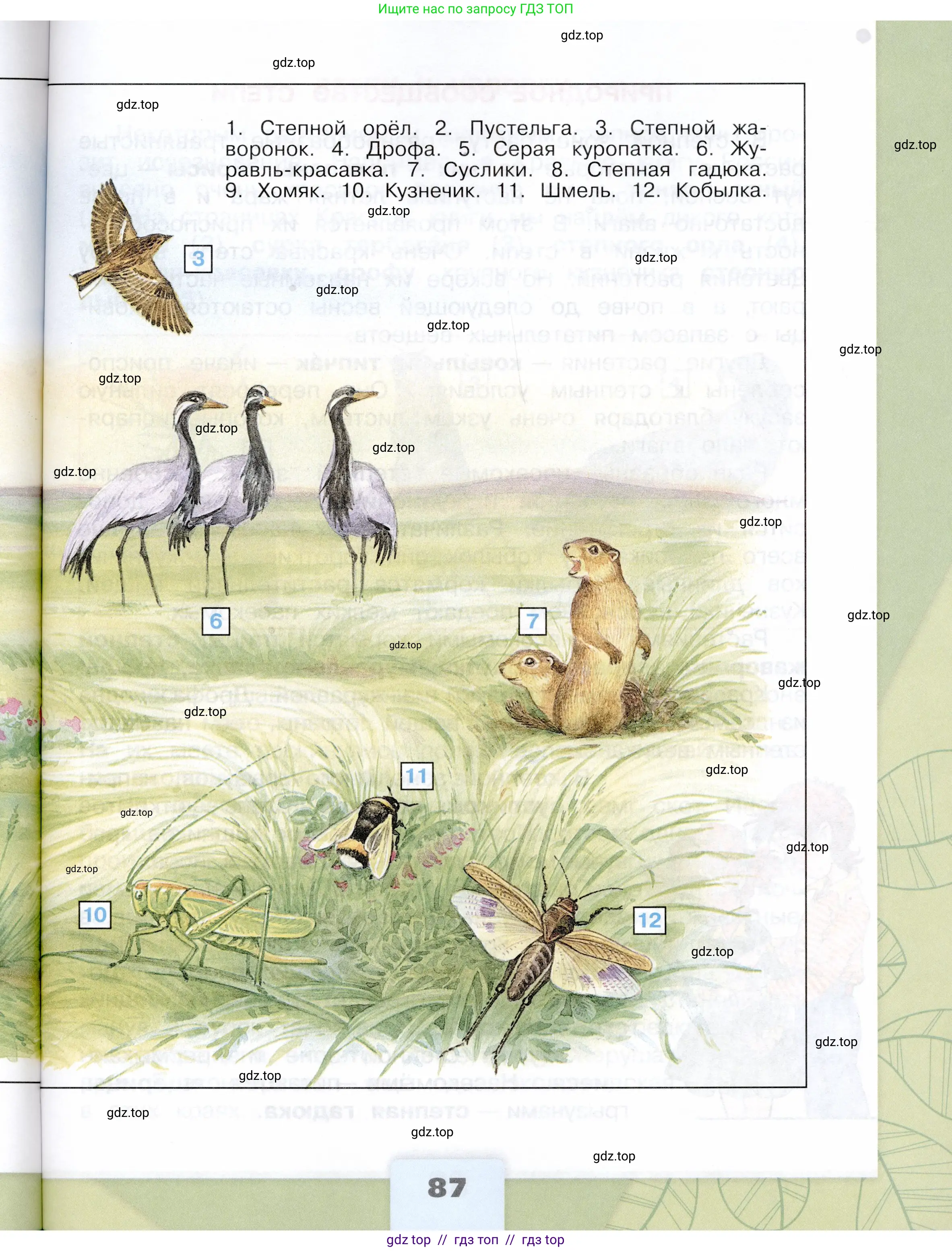 Окружающий мир, 4 класс Учебник, авторы: Плешаков Андрей Анатольевич, Крючкова Елена Алексеевна, издательство Просвещение, Москва, 2023, белого цвета, страница 87