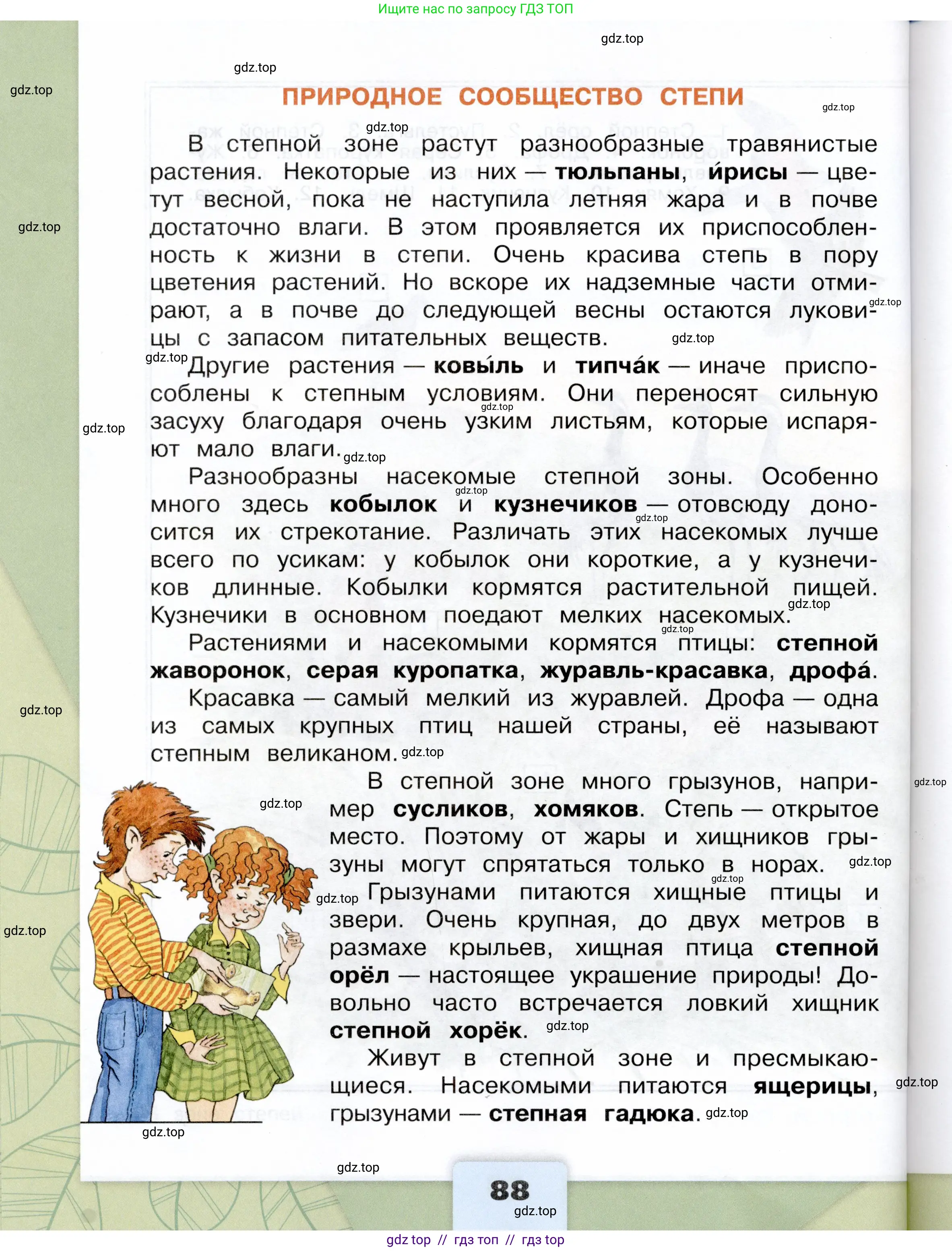 Окружающий мир, 4 класс Учебник, авторы: Плешаков Андрей Анатольевич, Крючкова Елена Алексеевна, издательство Просвещение, Москва, 2023, белого цвета, страница 88