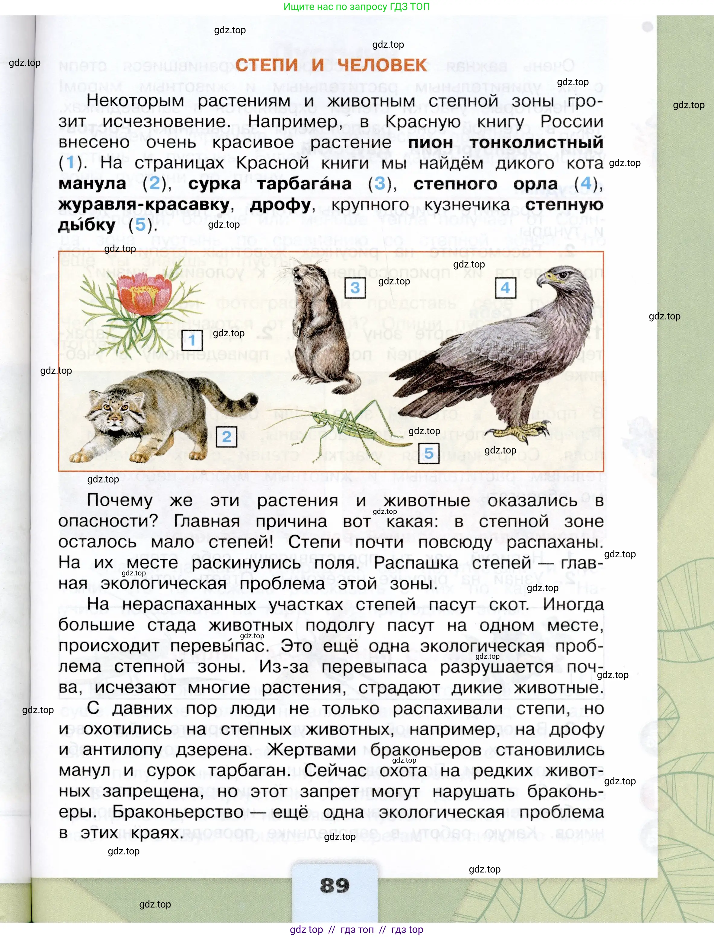 Окружающий мир, 4 класс Учебник, авторы: Плешаков Андрей Анатольевич, Крючкова Елена Алексеевна, издательство Просвещение, Москва, 2023, белого цвета, страница 89