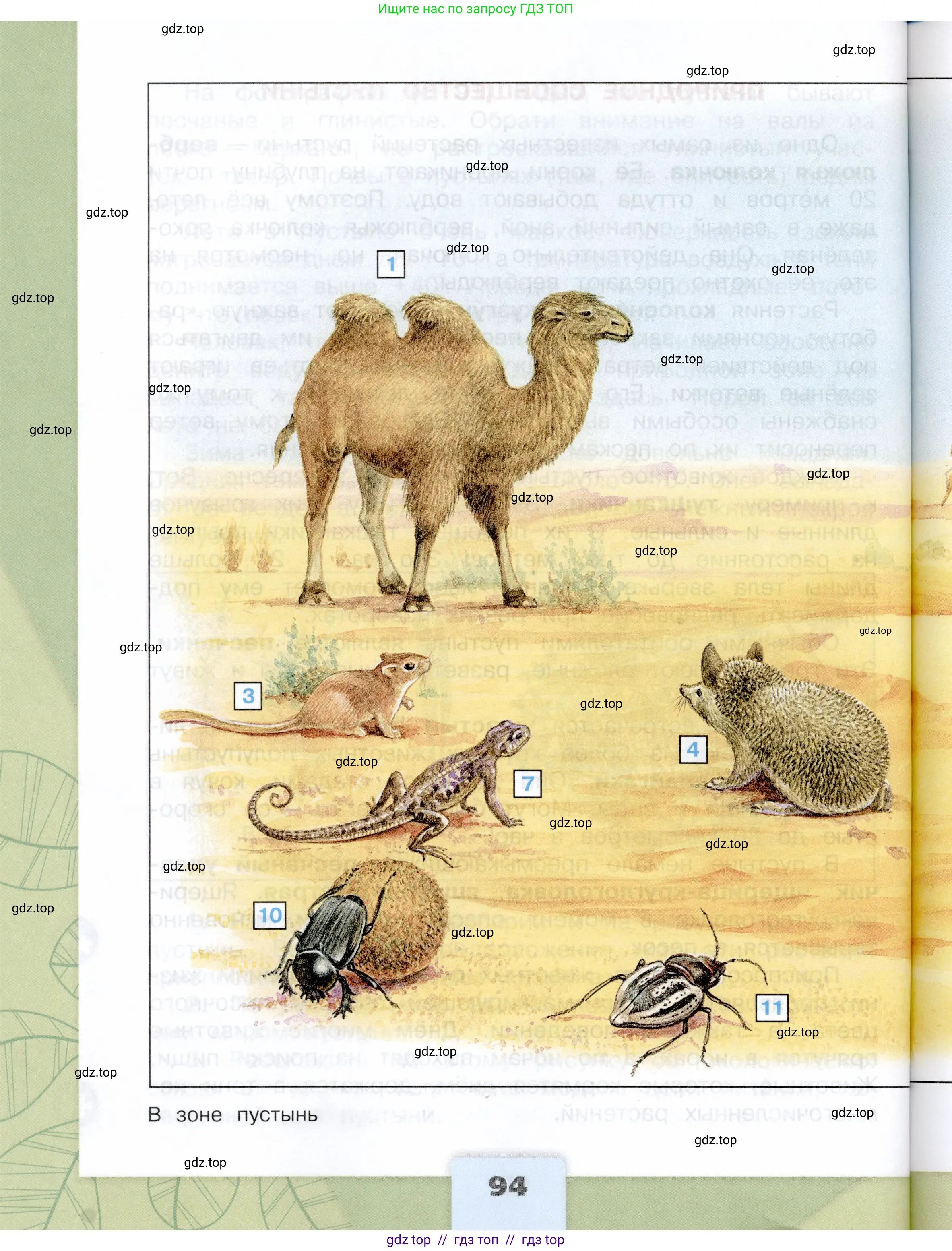 Окружающий мир, 4 класс Учебник, авторы: Плешаков Андрей Анатольевич, Крючкова Елена Алексеевна, издательство Просвещение, Москва, 2023, белого цвета, страница 94