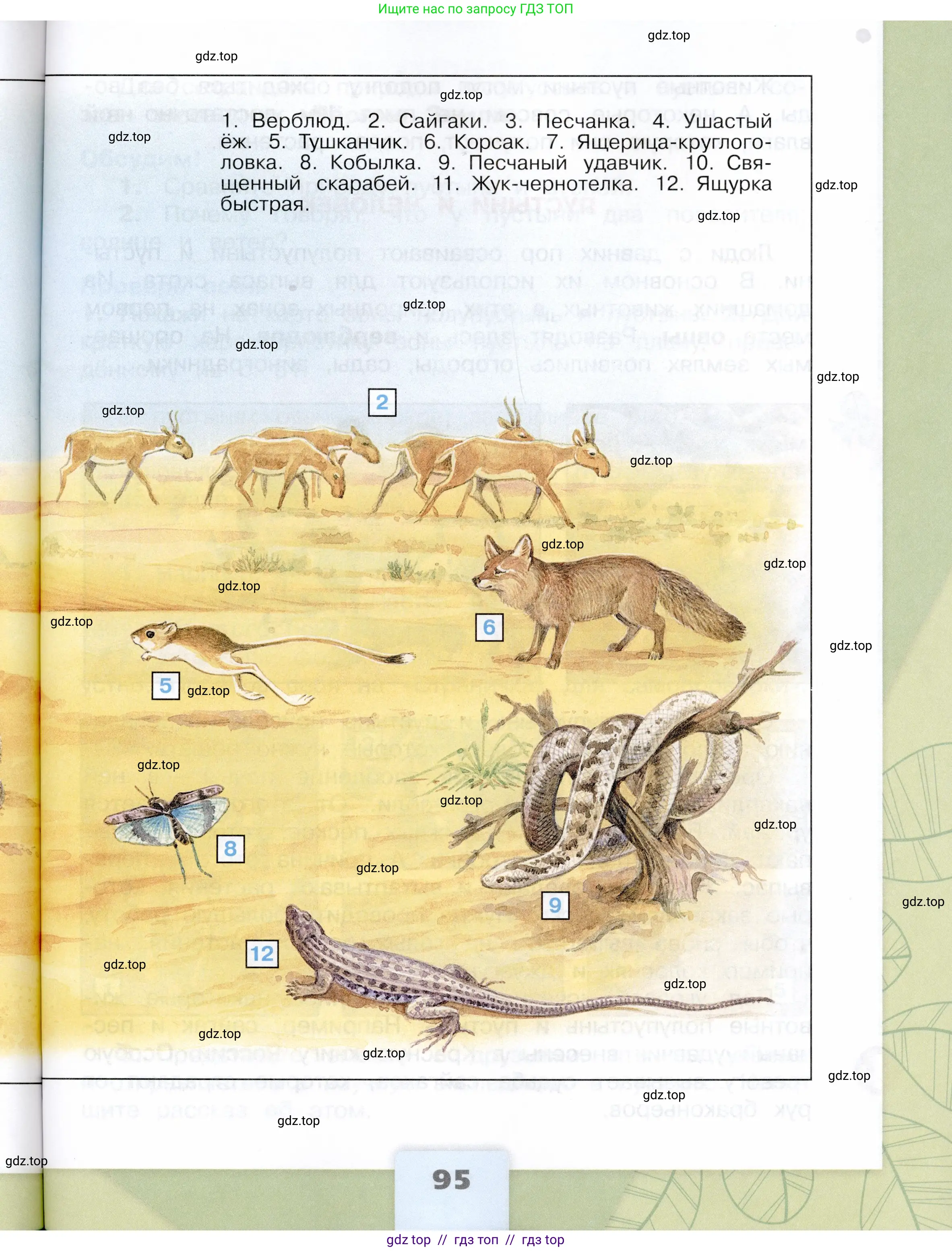 Окружающий мир, 4 класс Учебник, авторы: Плешаков Андрей Анатольевич, Крючкова Елена Алексеевна, издательство Просвещение, Москва, 2023, белого цвета, страница 95