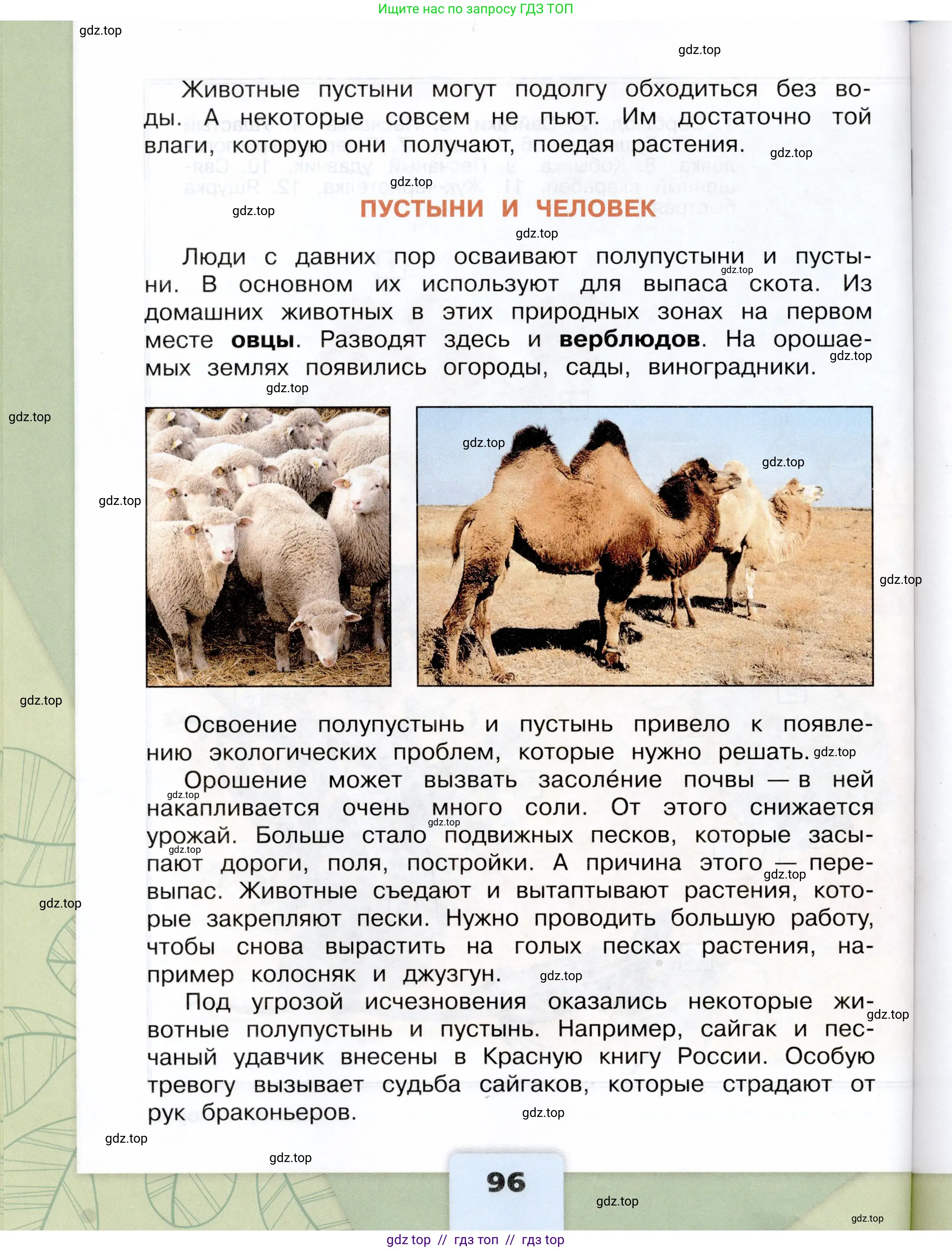 Окружающий мир, 4 класс Учебник, авторы: Плешаков Андрей Анатольевич, Крючкова Елена Алексеевна, издательство Просвещение, Москва, 2023, белого цвета, страница 96