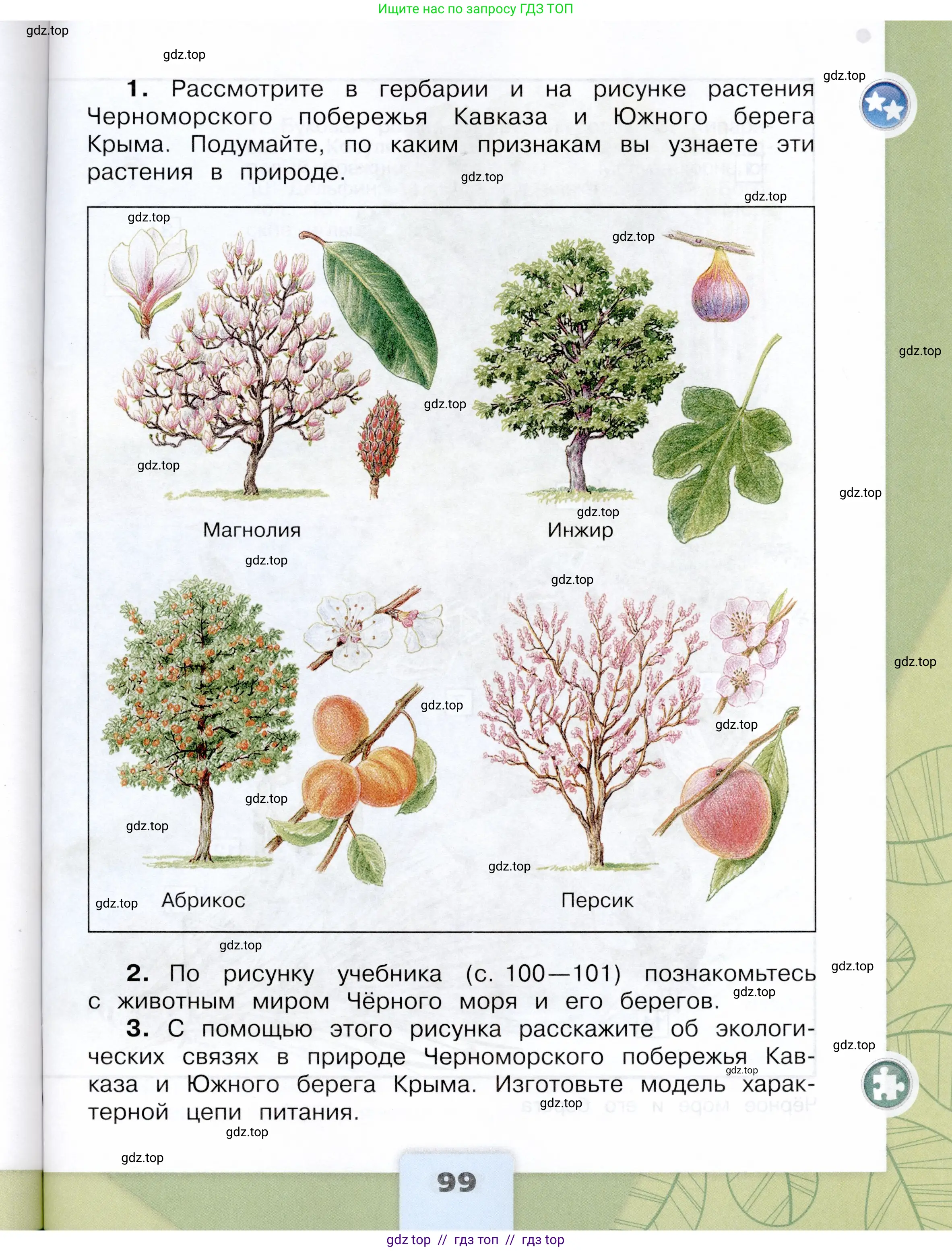 Окружающий мир, 4 класс Учебник, авторы: Плешаков Андрей Анатольевич, Крючкова Елена Алексеевна, издательство Просвещение, Москва, 2023, белого цвета, страница 99