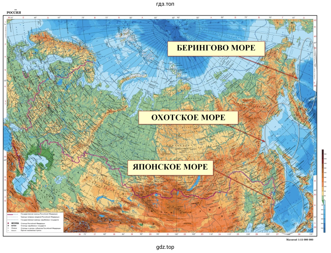 Моря Тихого океана