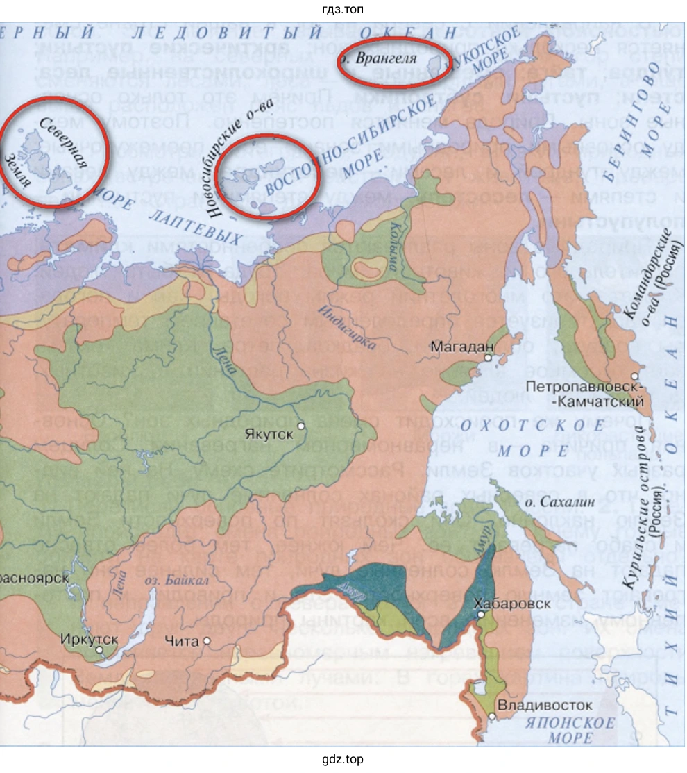 Зона арктических пустынь: Северная Земля, Новосибирские острова, остров Врангеля