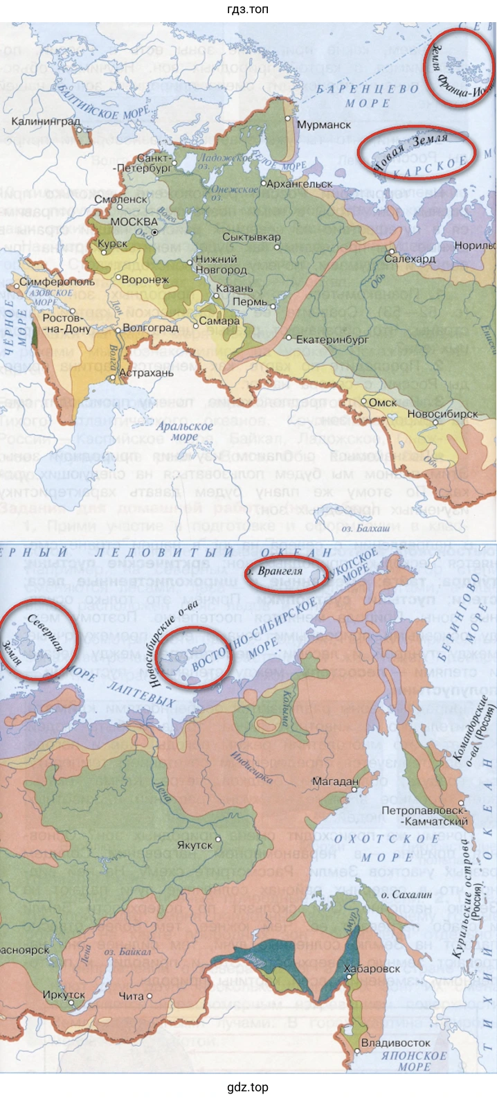 Зона арктических пустынь