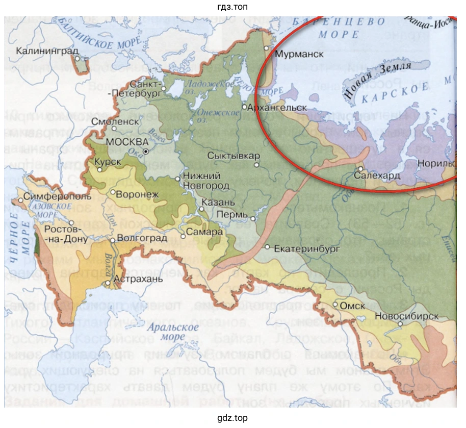 Тундра