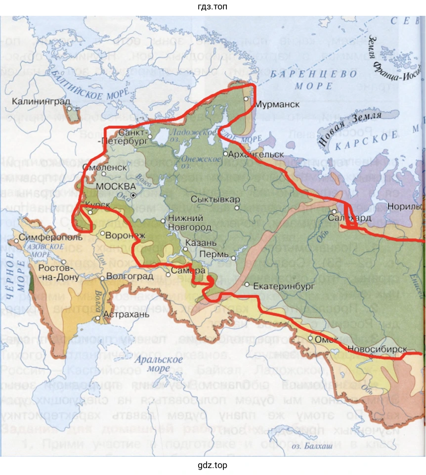 Лесные зоны