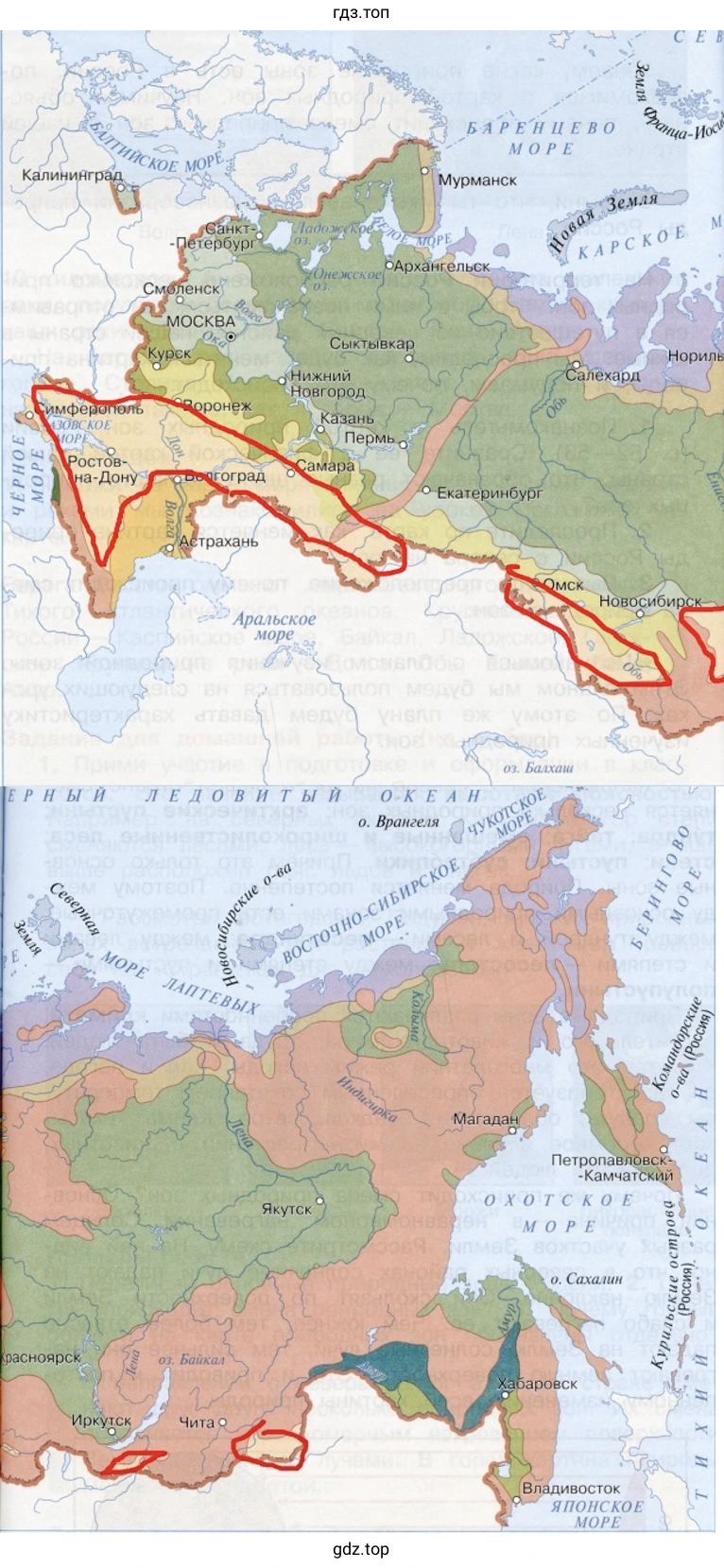 Зона степей