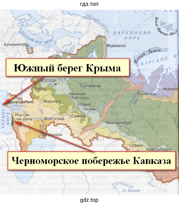 Черноморское побережье Кавказа и Южный берег Крыма