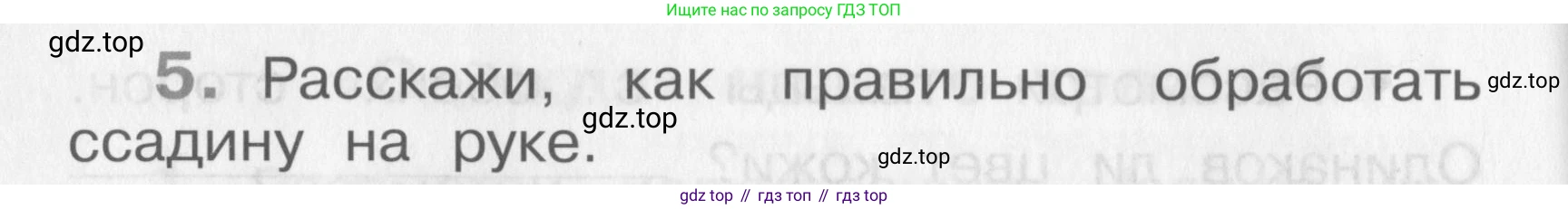 Окружающий мир, 4 класс рабочая тетрадь, авторы: Саплина Елена Витальевна, Саплин А И, Сивоглазов Владислав Иванович, издательство Дрофа, Москва, 2018, жёлтого цвета, Часть 1, страница 10, номер 5, Условие