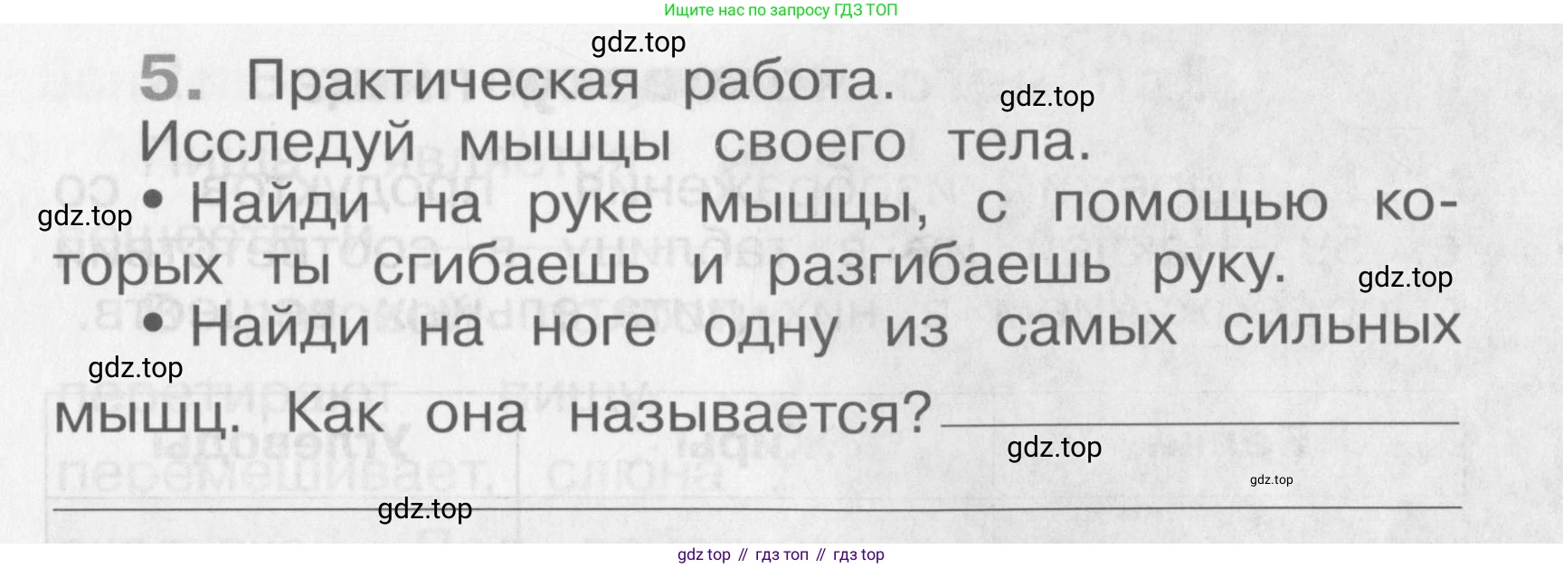 Окружающий мир, 4 класс рабочая тетрадь, авторы: Саплина Елена Витальевна, Саплин А И, Сивоглазов Владислав Иванович, издательство Дрофа, Москва, 2018, жёлтого цвета, Часть 1, страница 15, номер 5, Условие