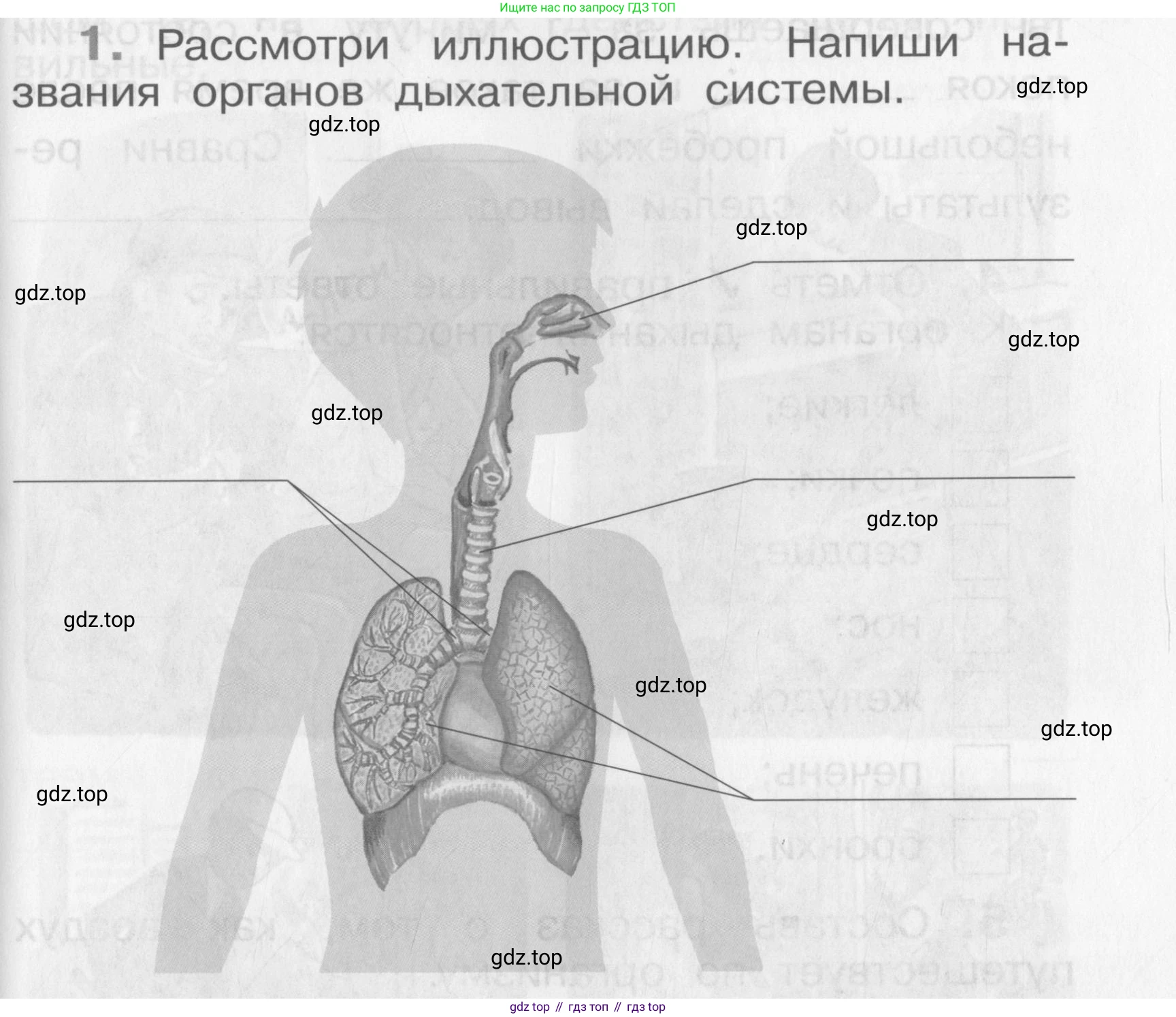 Окружающий мир, 4 класс рабочая тетрадь, авторы: Саплина Елена Витальевна, Саплин А И, Сивоглазов Владислав Иванович, издательство Дрофа, Москва, 2018, жёлтого цвета, Часть 1, страница 21, номер 1, Условие