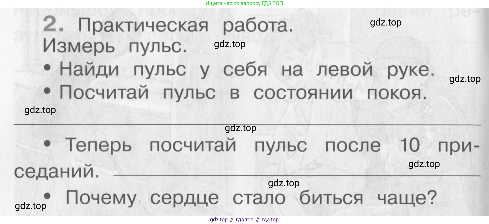 Окружающий мир, 4 класс рабочая тетрадь, авторы: Саплина Елена Витальевна, Саплин А И, Сивоглазов Владислав Иванович, издательство Дрофа, Москва, 2018, жёлтого цвета, Часть 1, страница 24, номер 2, Условие