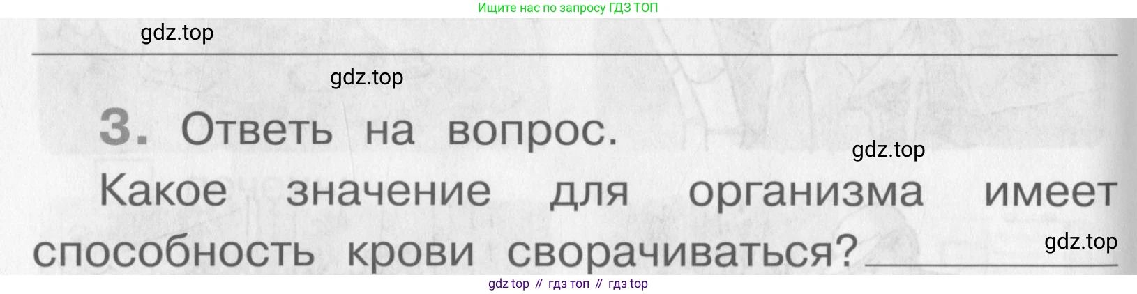 Окружающий мир, 4 класс рабочая тетрадь, авторы: Саплина Елена Витальевна, Саплин А И, Сивоглазов Владислав Иванович, издательство Дрофа, Москва, 2018, жёлтого цвета, Часть 1, страница 24, номер 3, Условие