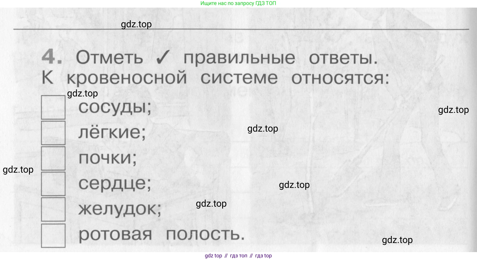 Окружающий мир, 4 класс рабочая тетрадь, авторы: Саплина Елена Витальевна, Саплин А И, Сивоглазов Владислав Иванович, издательство Дрофа, Москва, 2018, жёлтого цвета, Часть 1, страница 24, номер 4, Условие