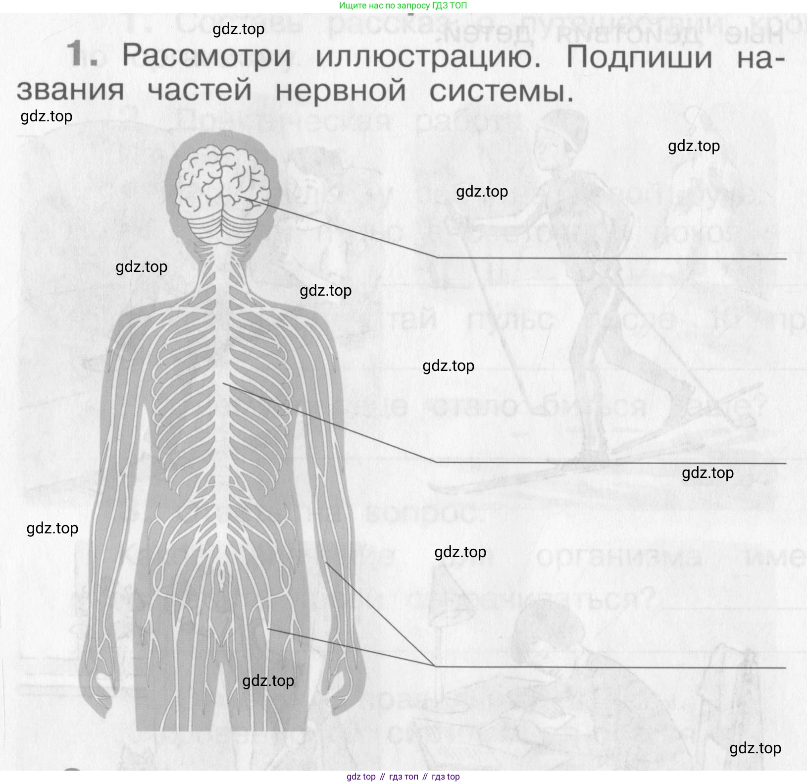 Окружающий мир, 4 класс рабочая тетрадь, авторы: Саплина Елена Витальевна, Саплин А И, Сивоглазов Владислав Иванович, издательство Дрофа, Москва, 2018, жёлтого цвета, Часть 1, страница 26, номер 1, Условие