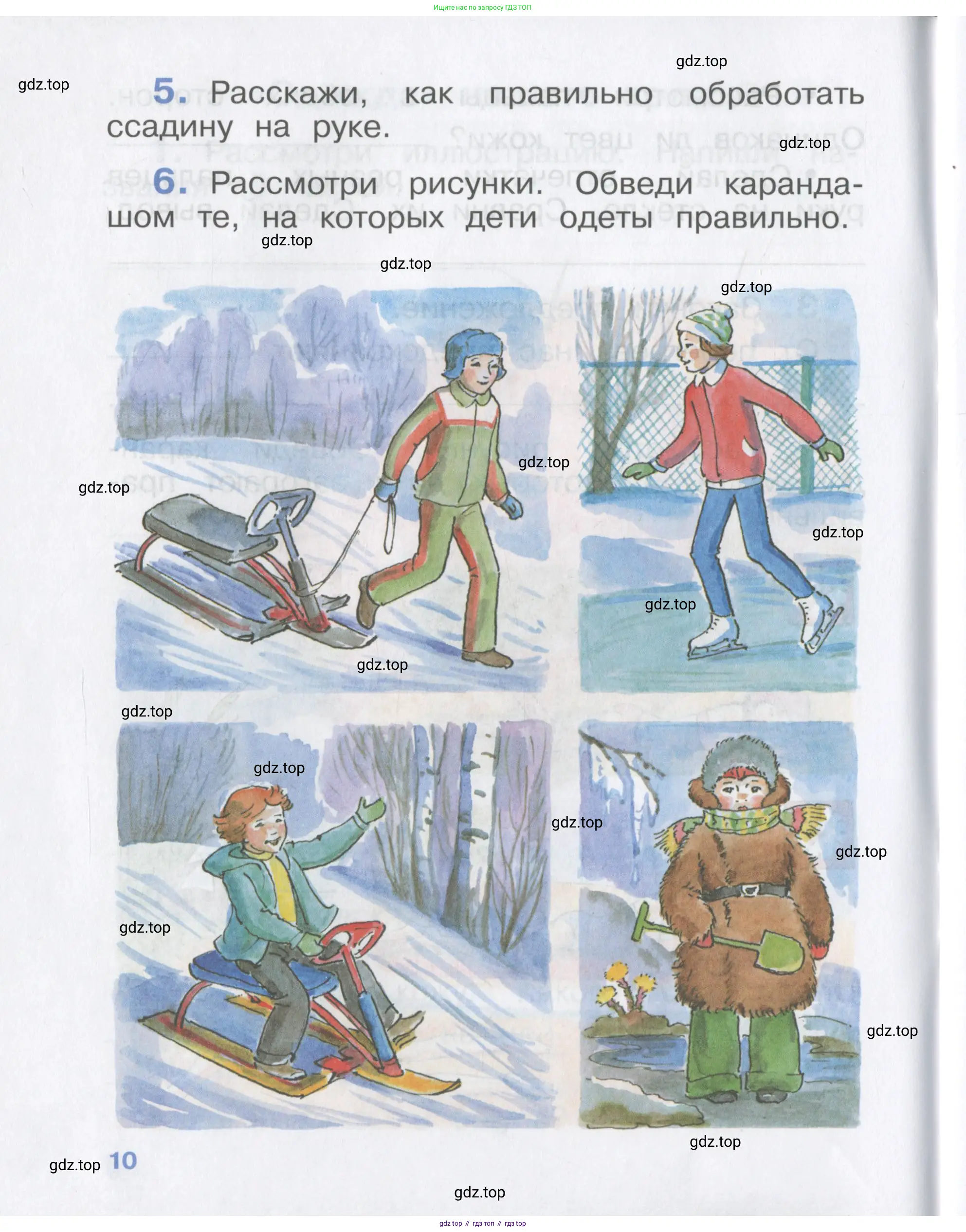 Окружающий мир, 4 класс рабочая тетрадь, авторы: Саплина Елена Витальевна, Саплин А И, Сивоглазов Владислав Иванович, издательство Дрофа, Москва, 2018, жёлтого цвета, Часть 1, страница 10