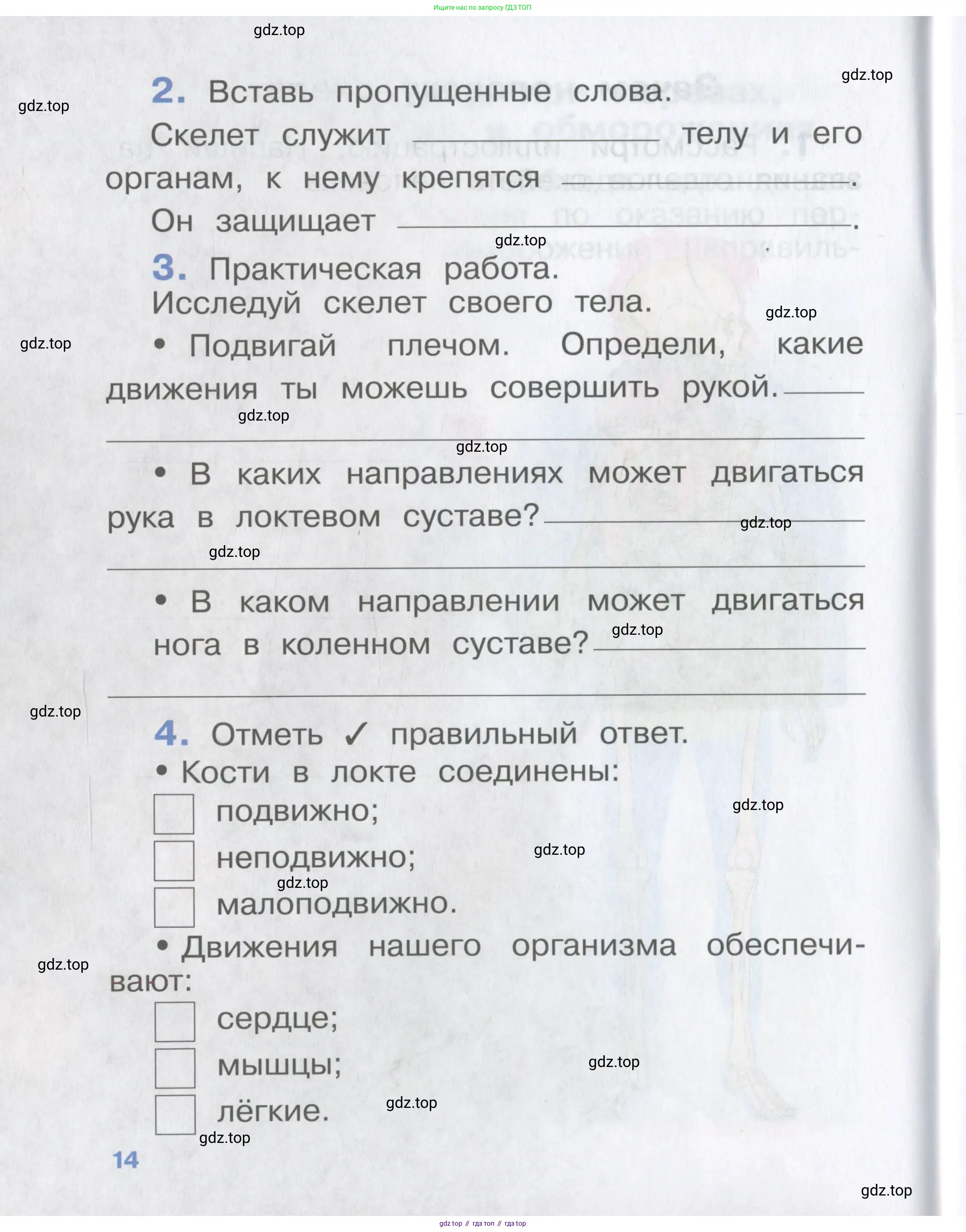 Окружающий мир, 4 класс рабочая тетрадь, авторы: Саплина Елена Витальевна, Саплин А И, Сивоглазов Владислав Иванович, издательство Дрофа, Москва, 2018, жёлтого цвета, Часть 1, страница 14