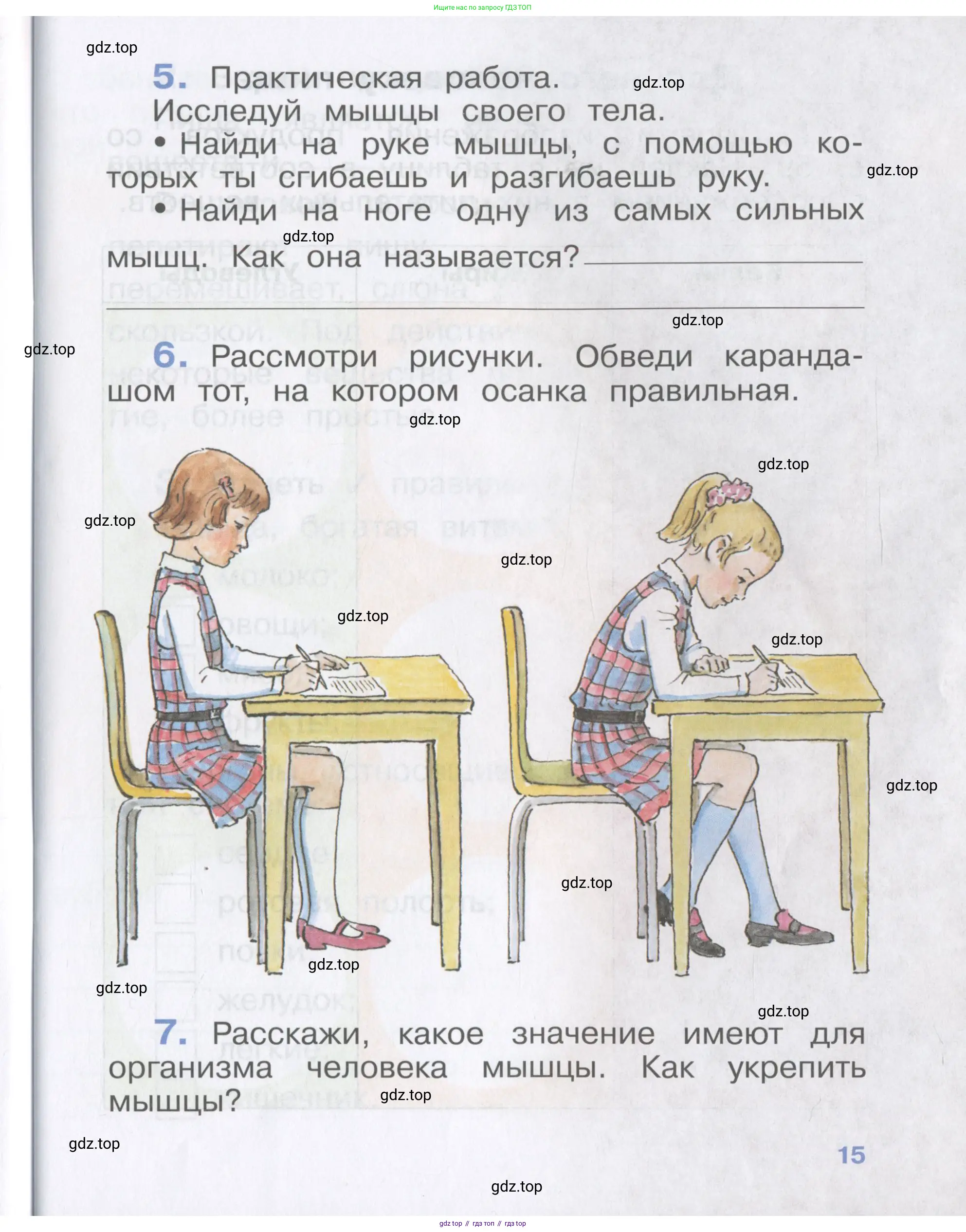 Окружающий мир, 4 класс рабочая тетрадь, авторы: Саплина Елена Витальевна, Саплин А И, Сивоглазов Владислав Иванович, издательство Дрофа, Москва, 2018, жёлтого цвета, Часть 1, страница 15