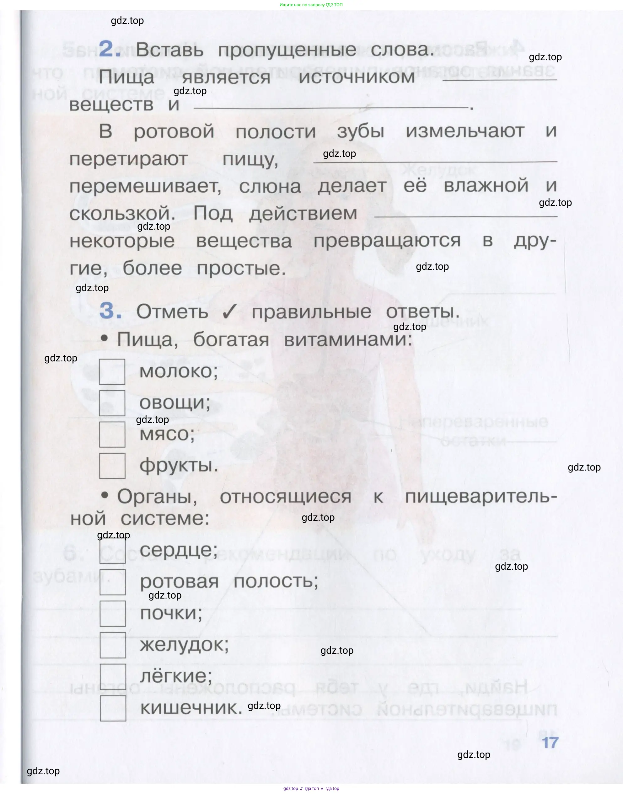 Окружающий мир, 4 класс рабочая тетрадь, авторы: Саплина Елена Витальевна, Саплин А И, Сивоглазов Владислав Иванович, издательство Дрофа, Москва, 2018, жёлтого цвета, Часть 1, страница 17